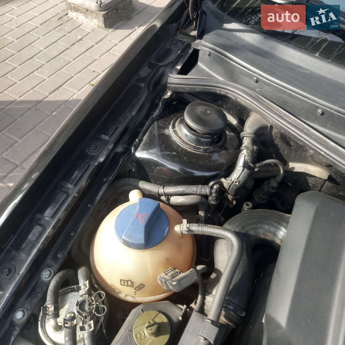 Volkswagen Golf 2000 VIN WVWZZZ1JZ1W419342 фото оголошення 4 з 14