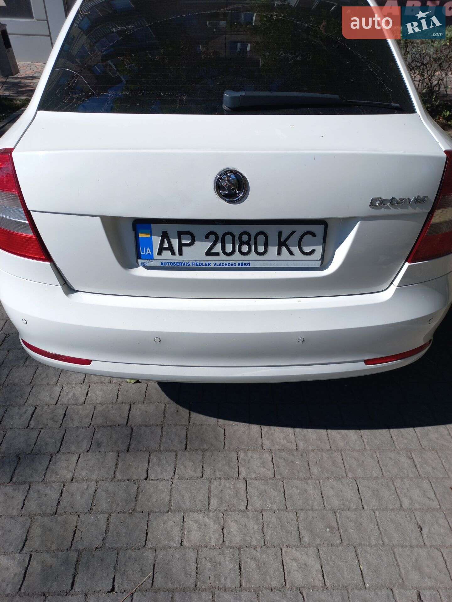 Skoda Octavia 2010 VIN TMBDX21Z9B8006843 фото оголошення 35 з 61