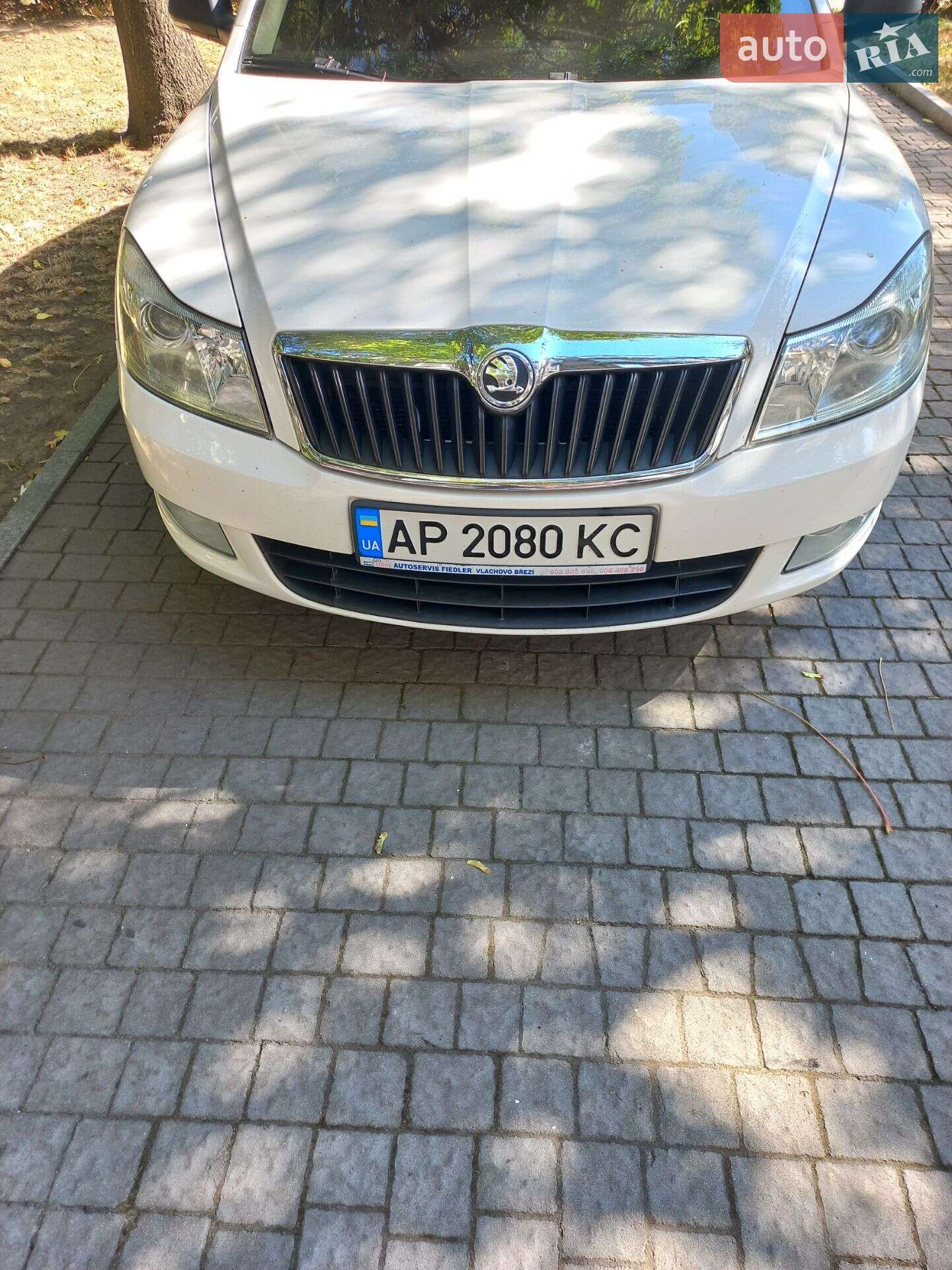 Skoda Octavia 2010 VIN TMBDX21Z9B8006843 фото оголошення 37 з 61