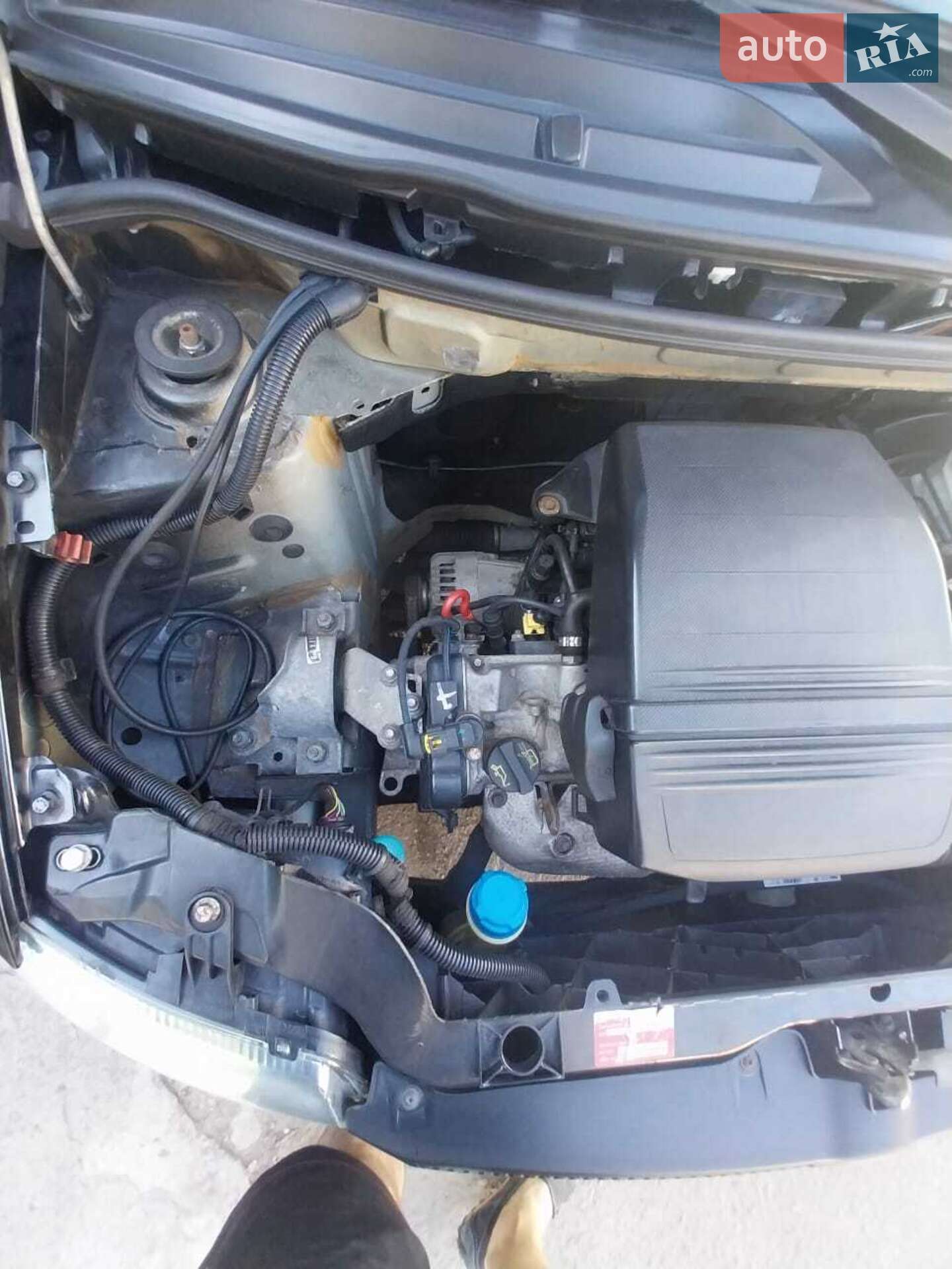 Fiat Panda 2008 VIN ZFA16900001111316 фото оголошення 3 з 15