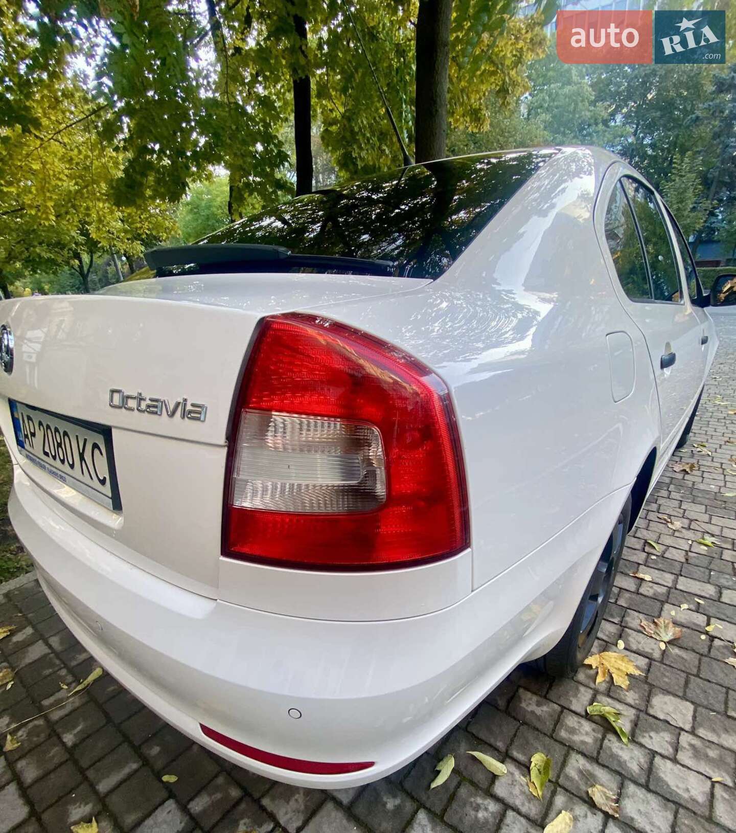Skoda Octavia 2010 VIN TMBDX21Z9B8006843 фото оголошення 2 з 19