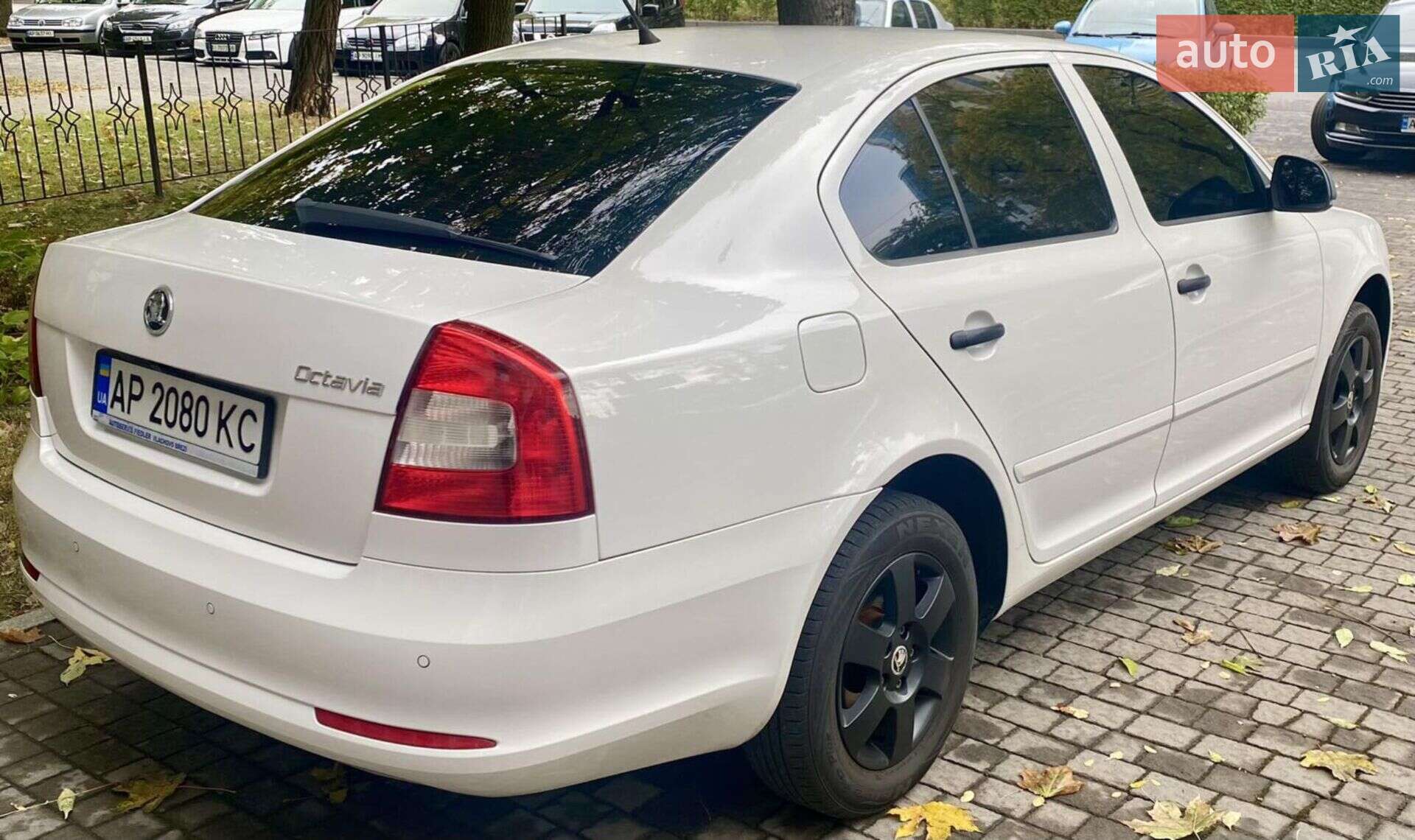 Skoda Octavia 2010 VIN TMBDX21Z9B8006843 фото оголошення 4 з 19