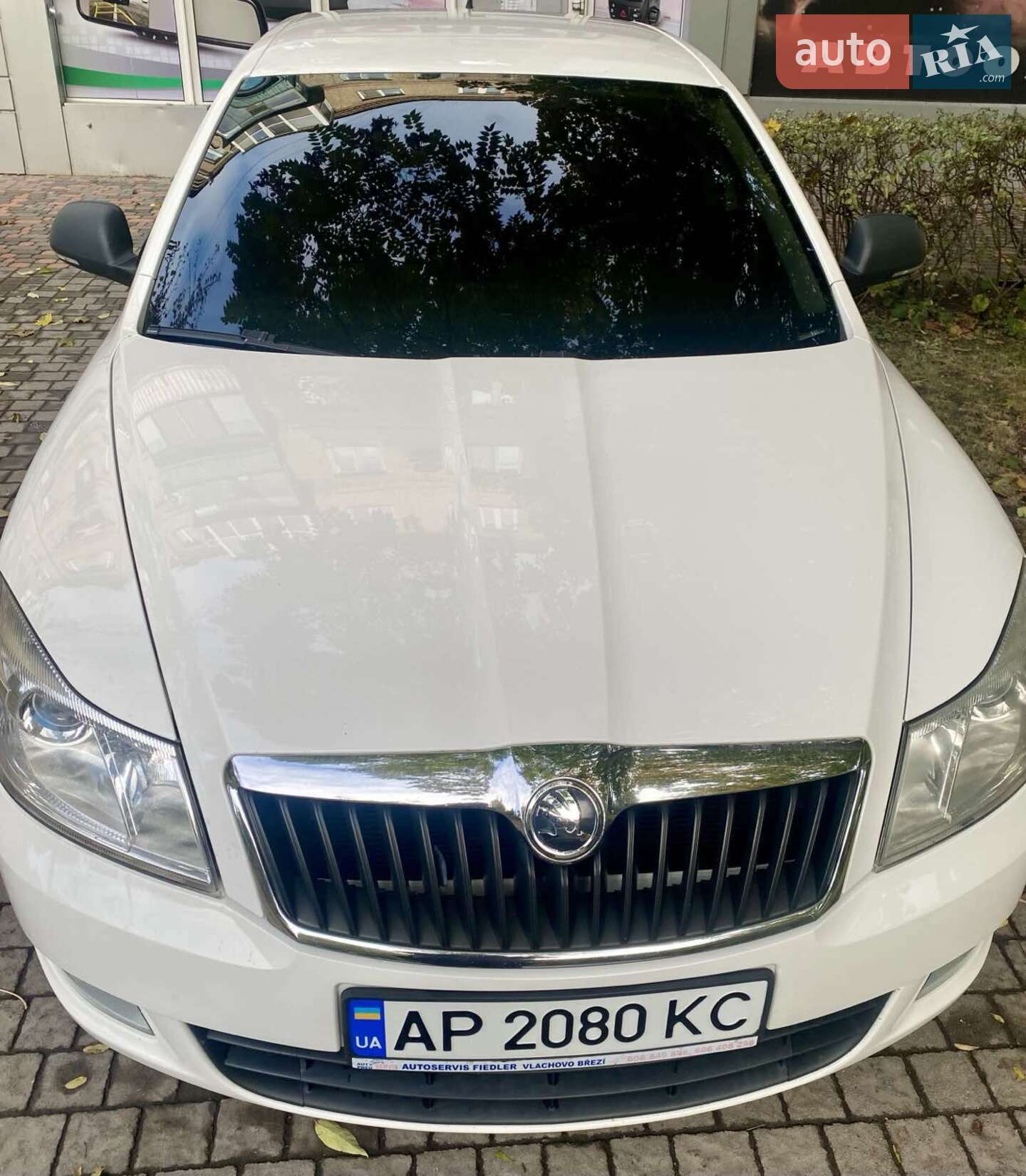 Skoda Octavia 2010 VIN TMBDX21Z9B8006843 фото оголошення 5 з 19