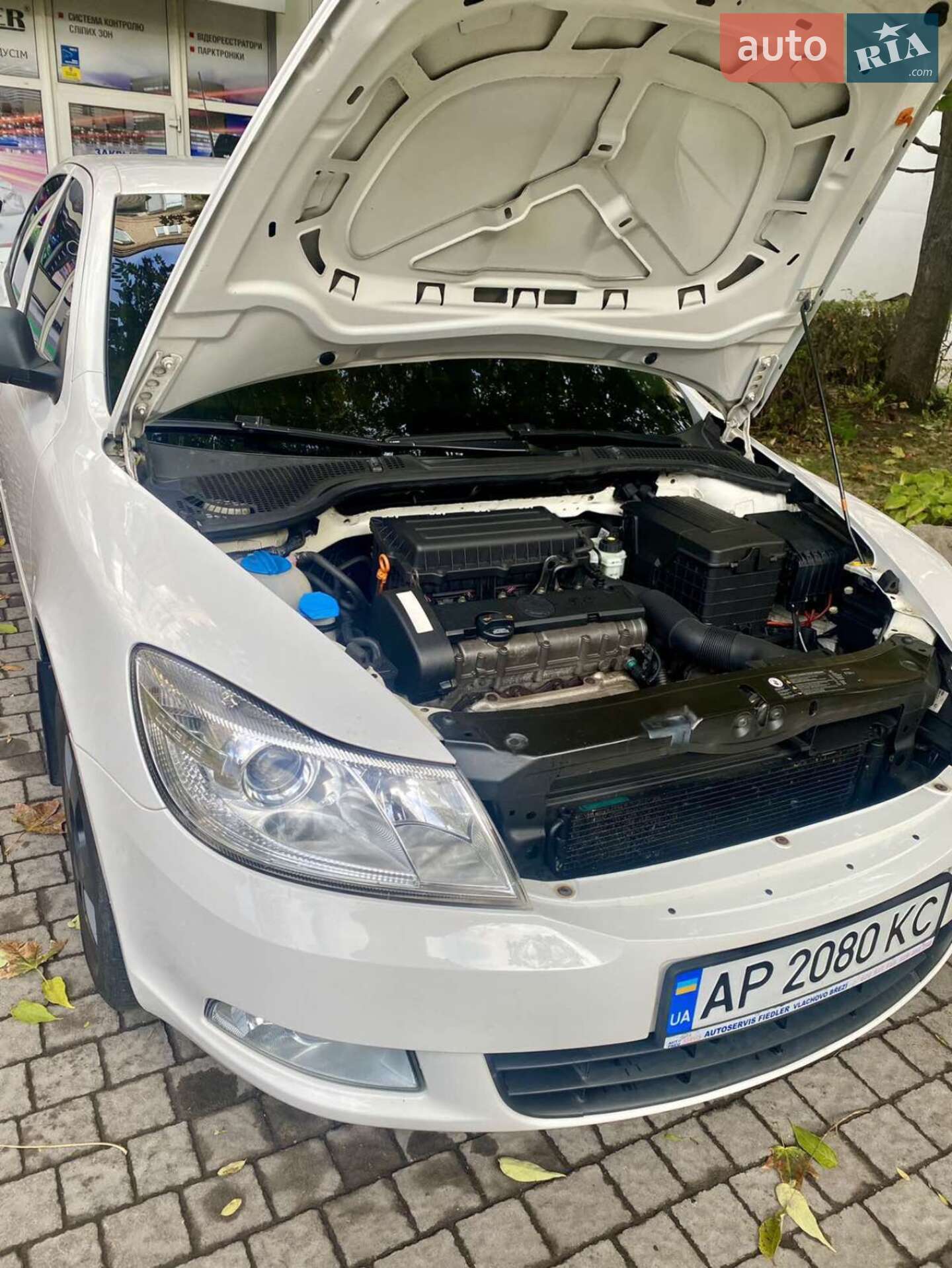 Skoda Octavia 2010 VIN TMBDX21Z9B8006843 фото оголошення 7 з 19