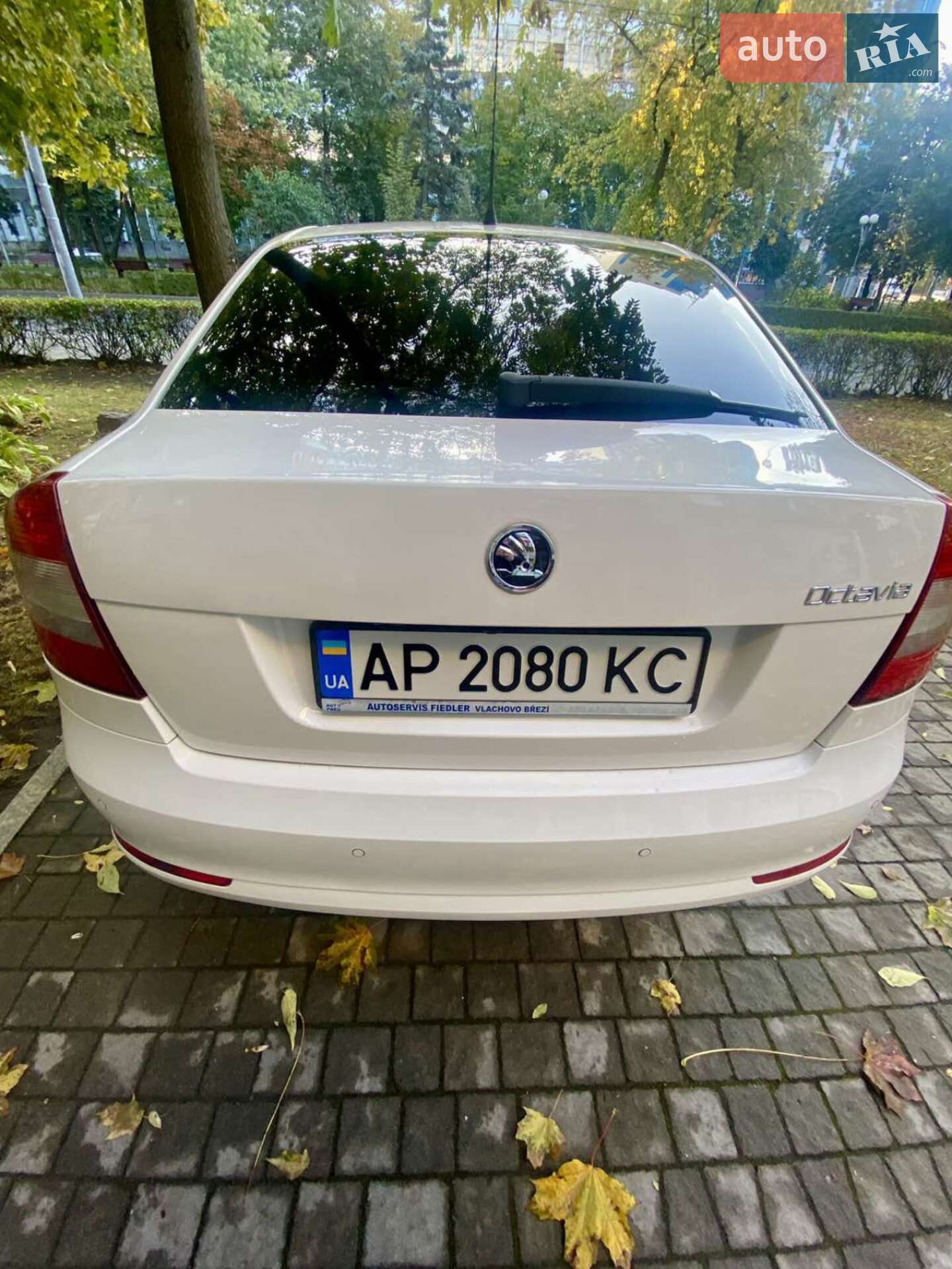 Skoda Octavia 2010 VIN TMBDX21Z9B8006843 фото оголошення 11 з 19