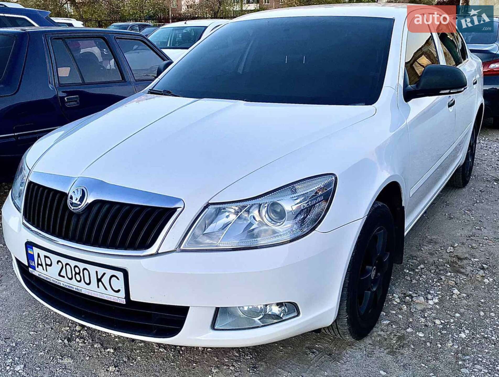 Skoda Octavia 2010 VIN TMBDX21Z9B8006843 фото оголошення 17 з 19