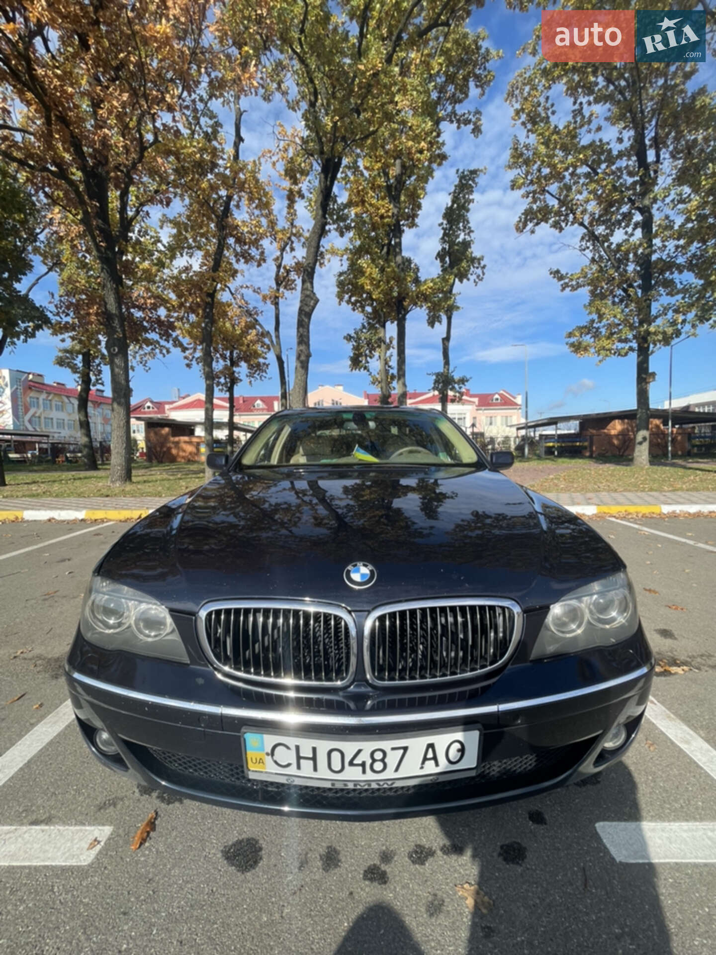 BMW 7 Series 2006 VIN WBAHM21080DS69502 фото оголошення 8 з 19