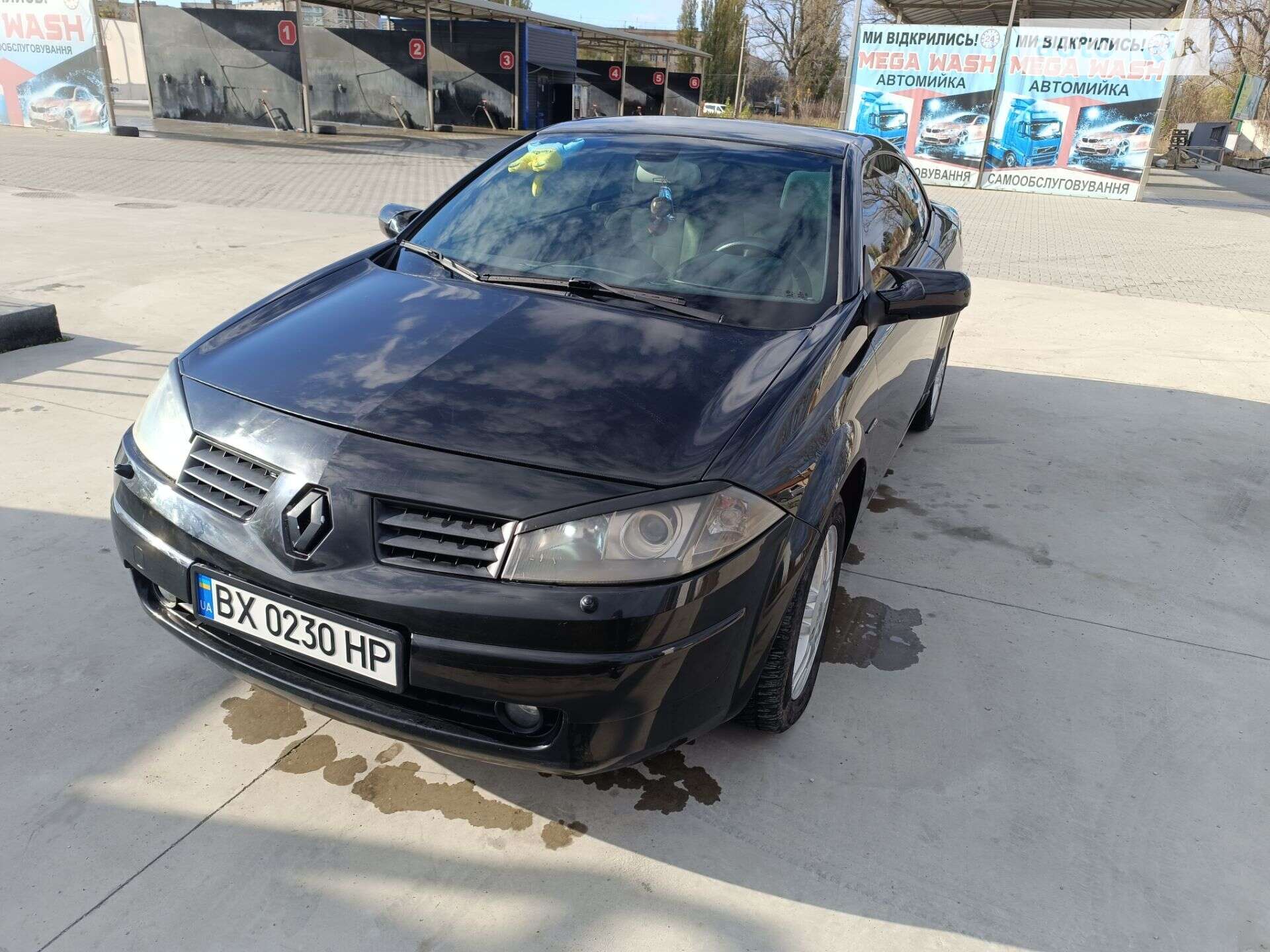 Renault Megane 2004 VIN VF1EMRG0631420051 фото оголошення 15 з 23