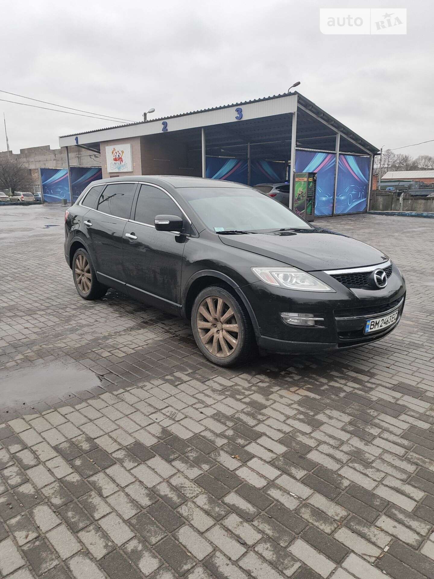 Mazda CX-9 2008 VIN JM7TB19A980105534 фото оголошення 3 з 3