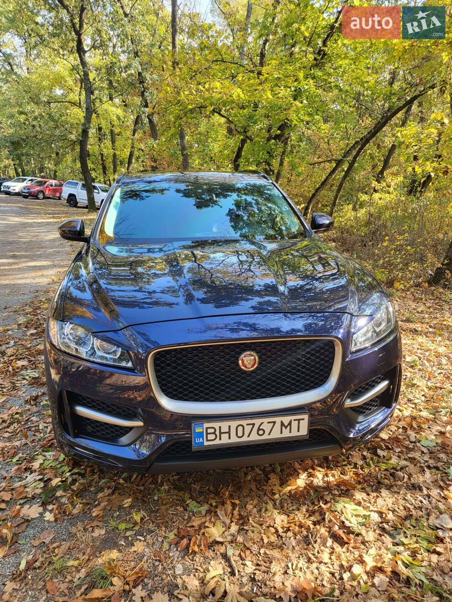 Jaguar F-Pace 2017 VIN SADCA2BN8HA898873 фото оголошення 11 з 18