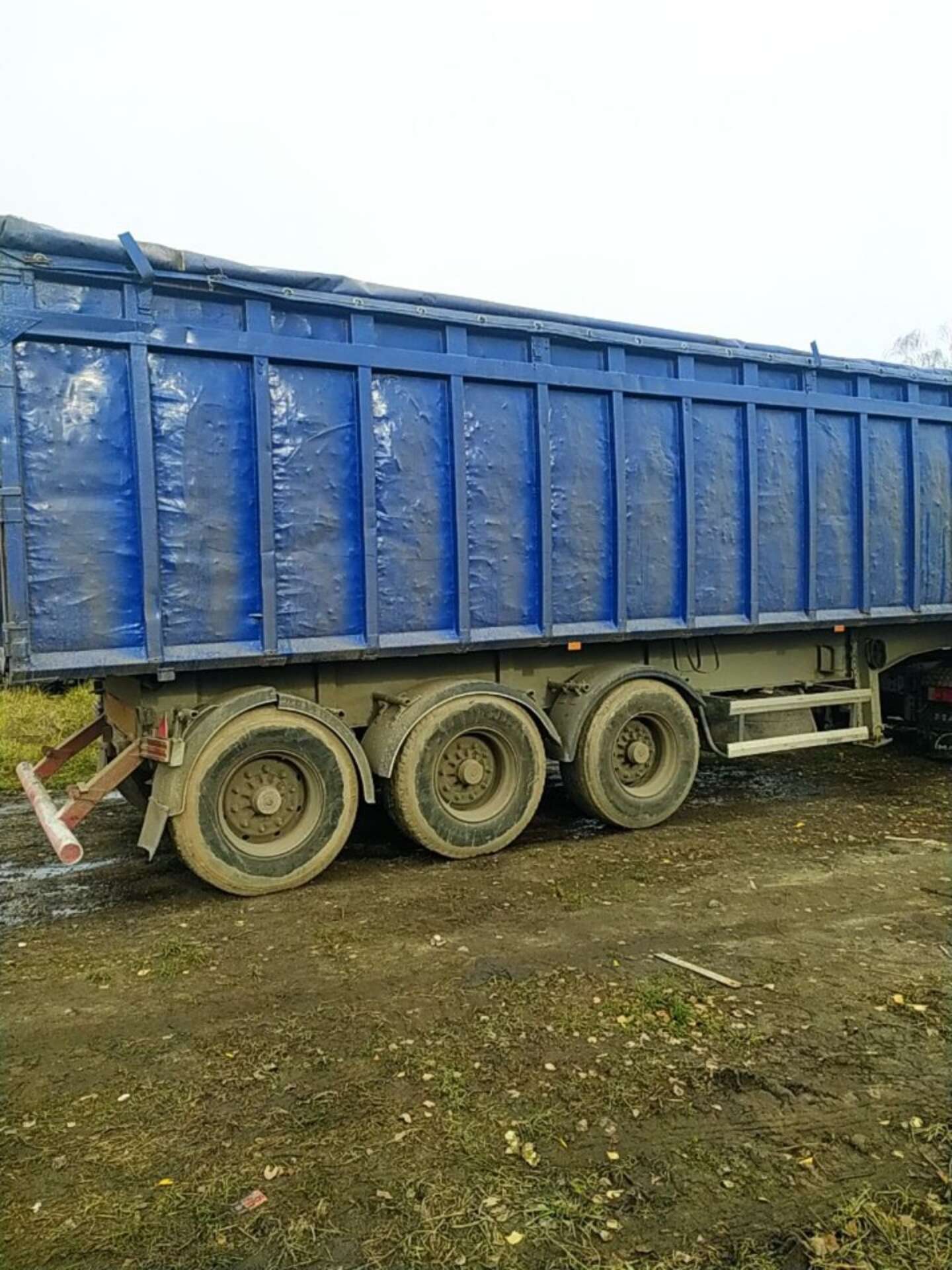 MAN 18.463 2002 VIN WMAH05ZZZ2G155360 фото оголошення 2 з 9