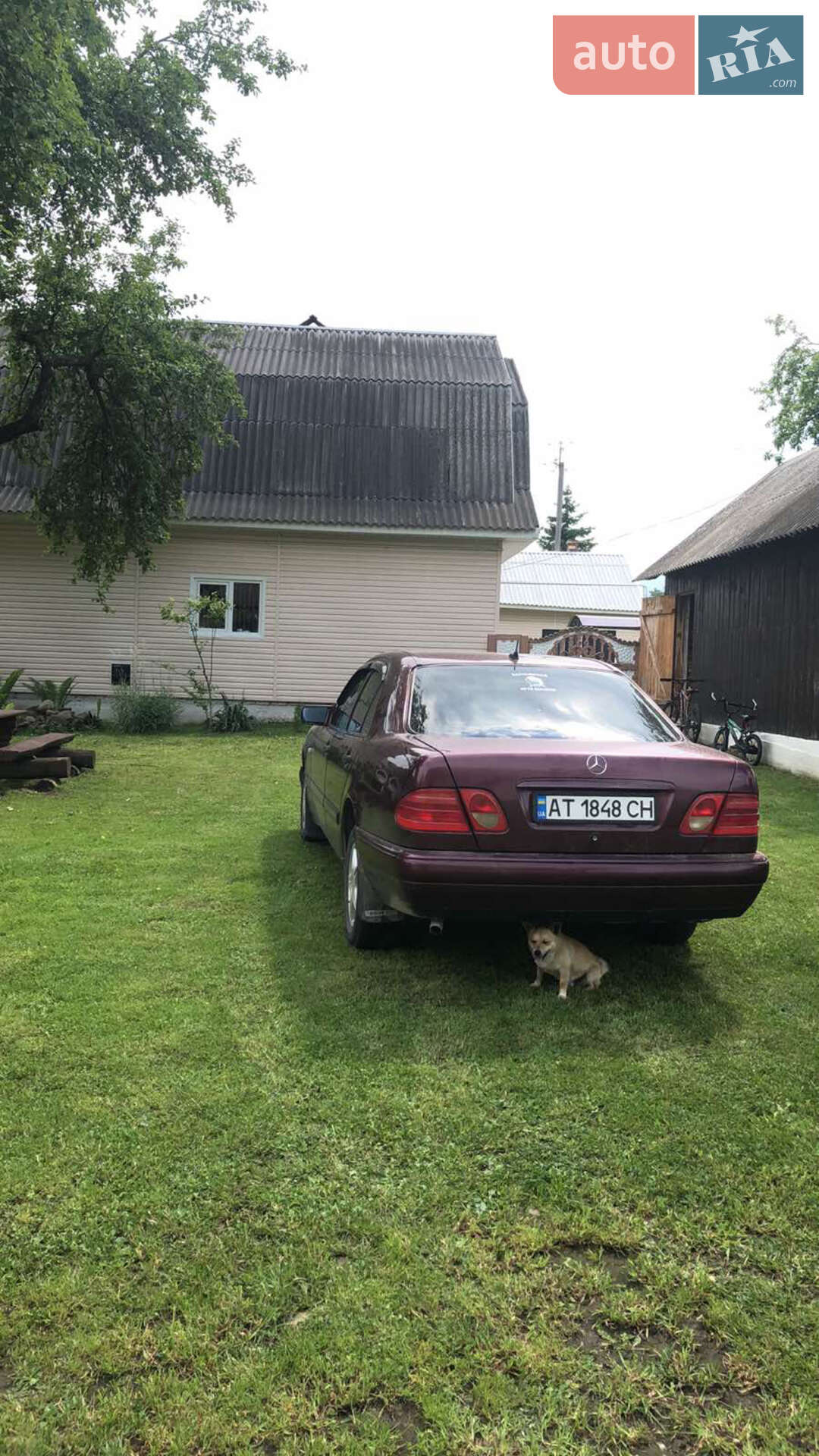 Mercedes-Benz E-Class 1998 VIN WDB2100351A678863 фото оголошення 8 з 8
