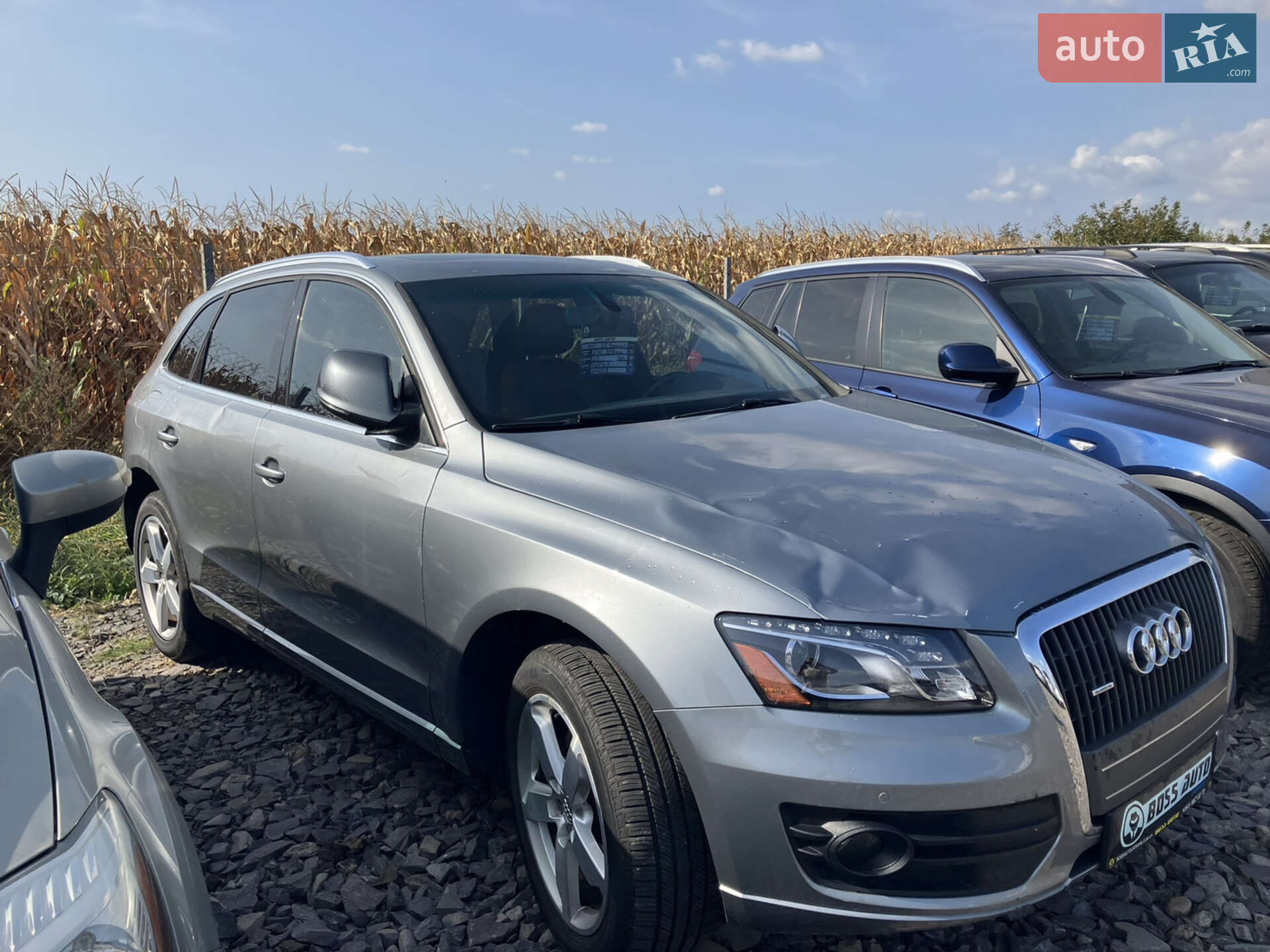Audi Q5 2010 VIN WA1LFAFP8BA021370 фото оголошення 2 з 29