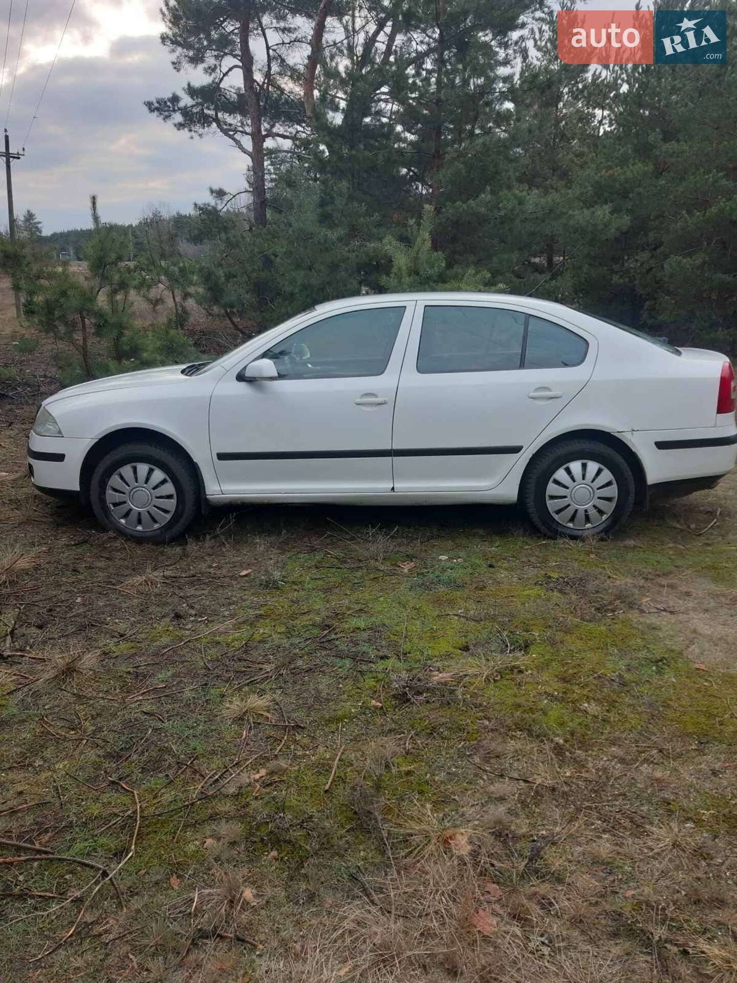 Skoda Octavia 2008 VIN Y6UCD41Z98B158245 фото оголошення 4 з 11