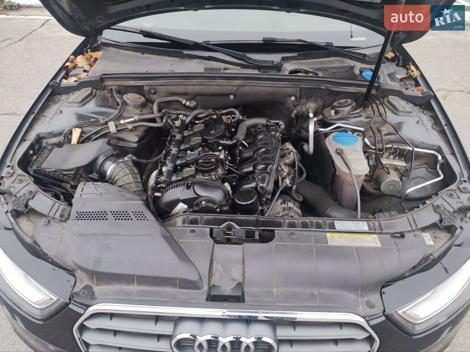 Audi A4 2013 VIN WAUEFAFL9DN035671 фото оголошення 2 з 12
