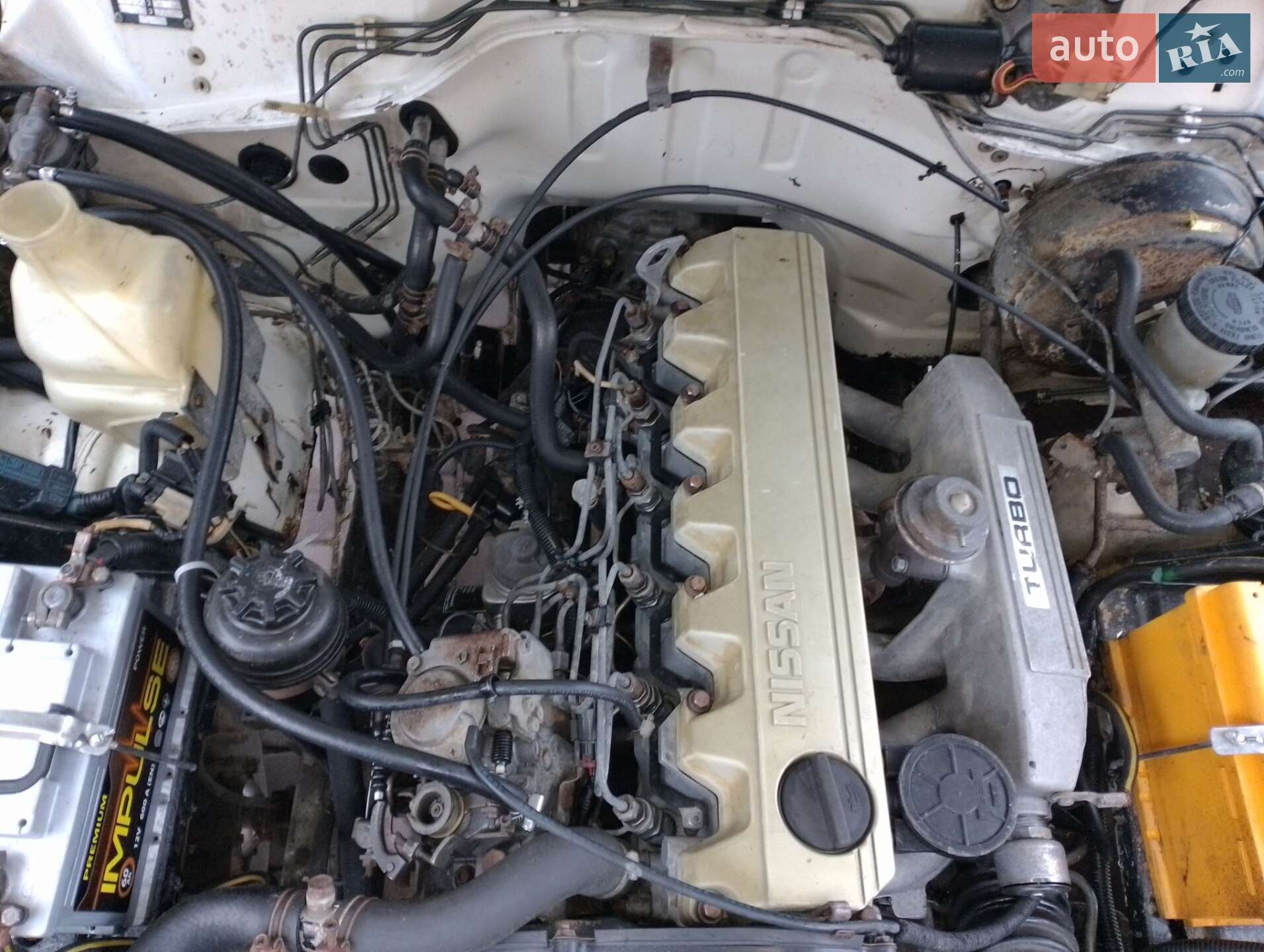 Nissan Patrol 1990 VIN VSKWYG260U0486519 фото оголошення 17 з 43