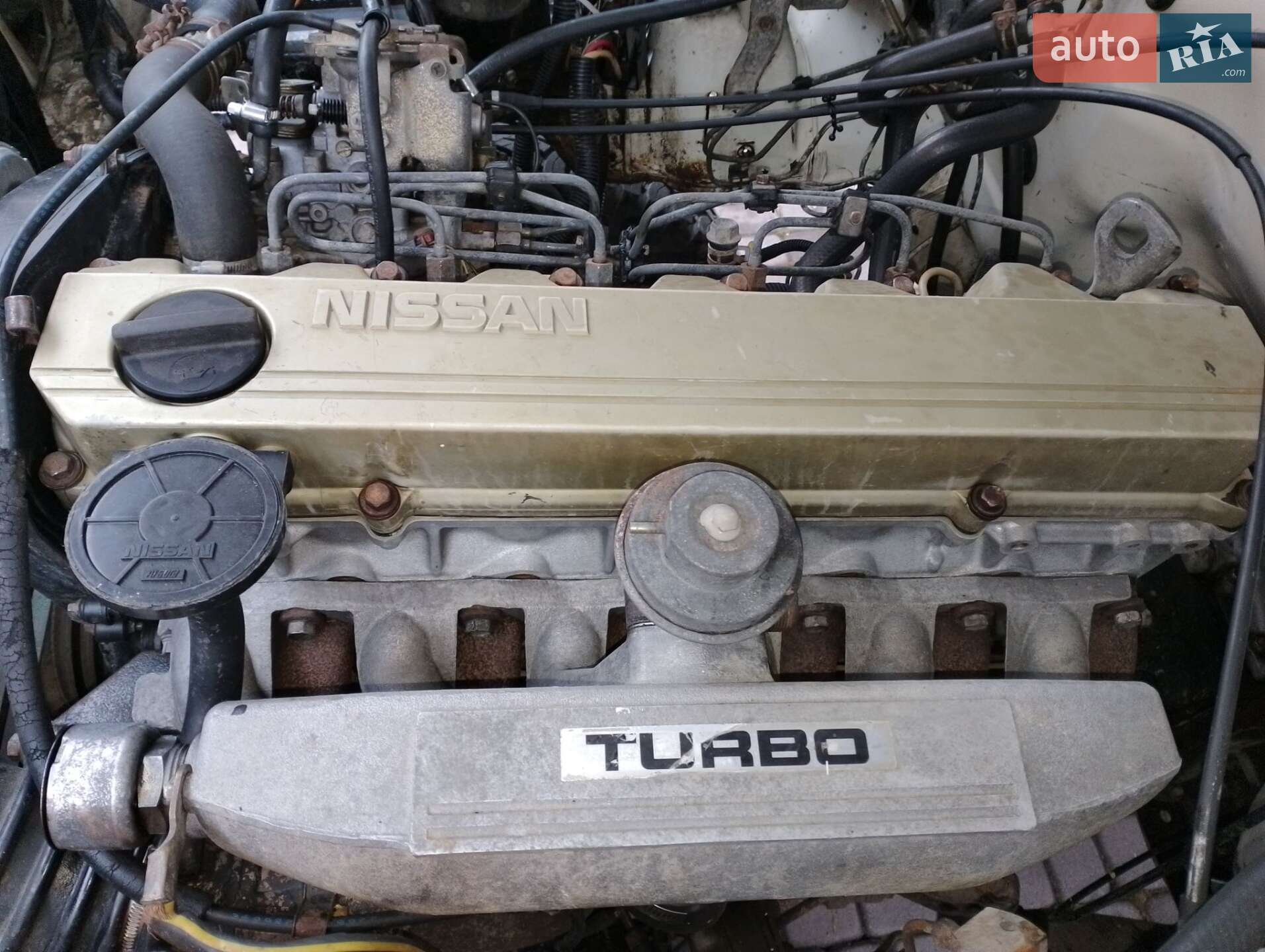 Nissan Patrol 1990 VIN VSKWYG260U0486519 фото оголошення 19 з 43