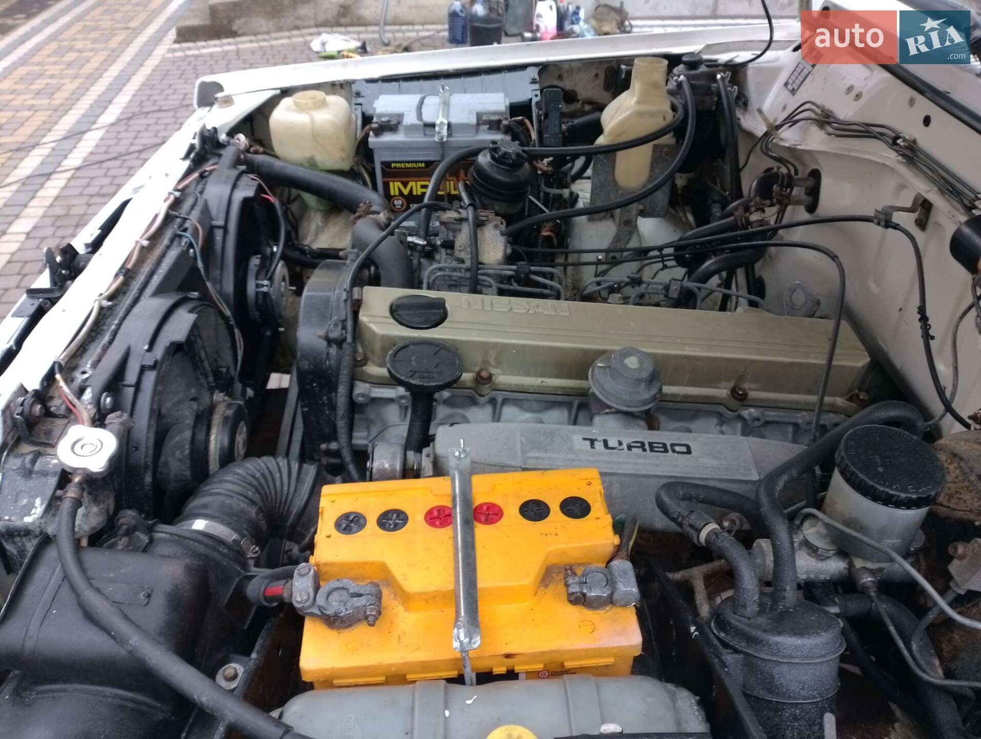 Nissan Patrol 1990 VIN VSKWYG260U0486519 фото оголошення 22 з 43