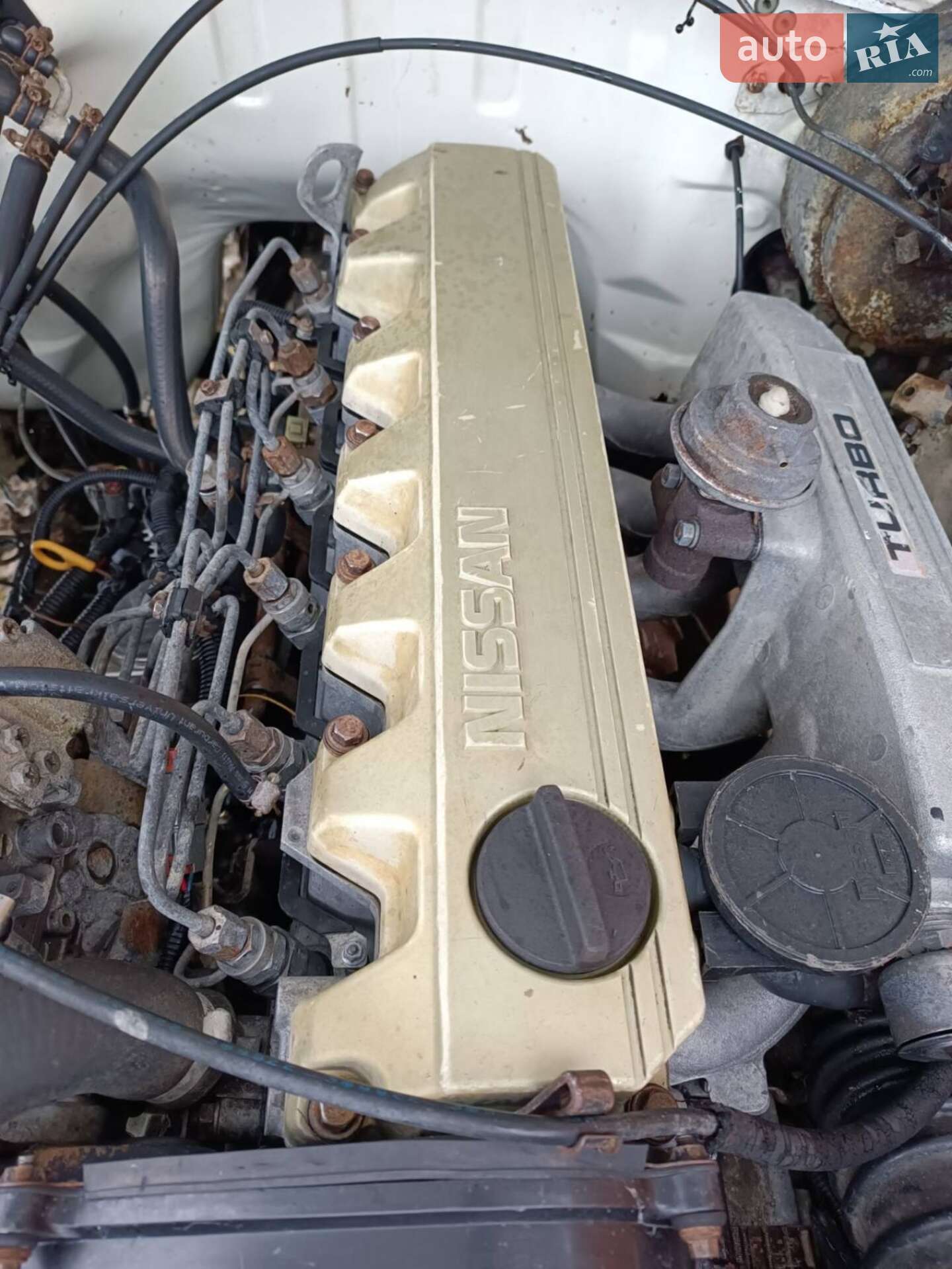 Nissan Patrol 1990 VIN VSKWYG260U0486519 фото оголошення 43 з 43