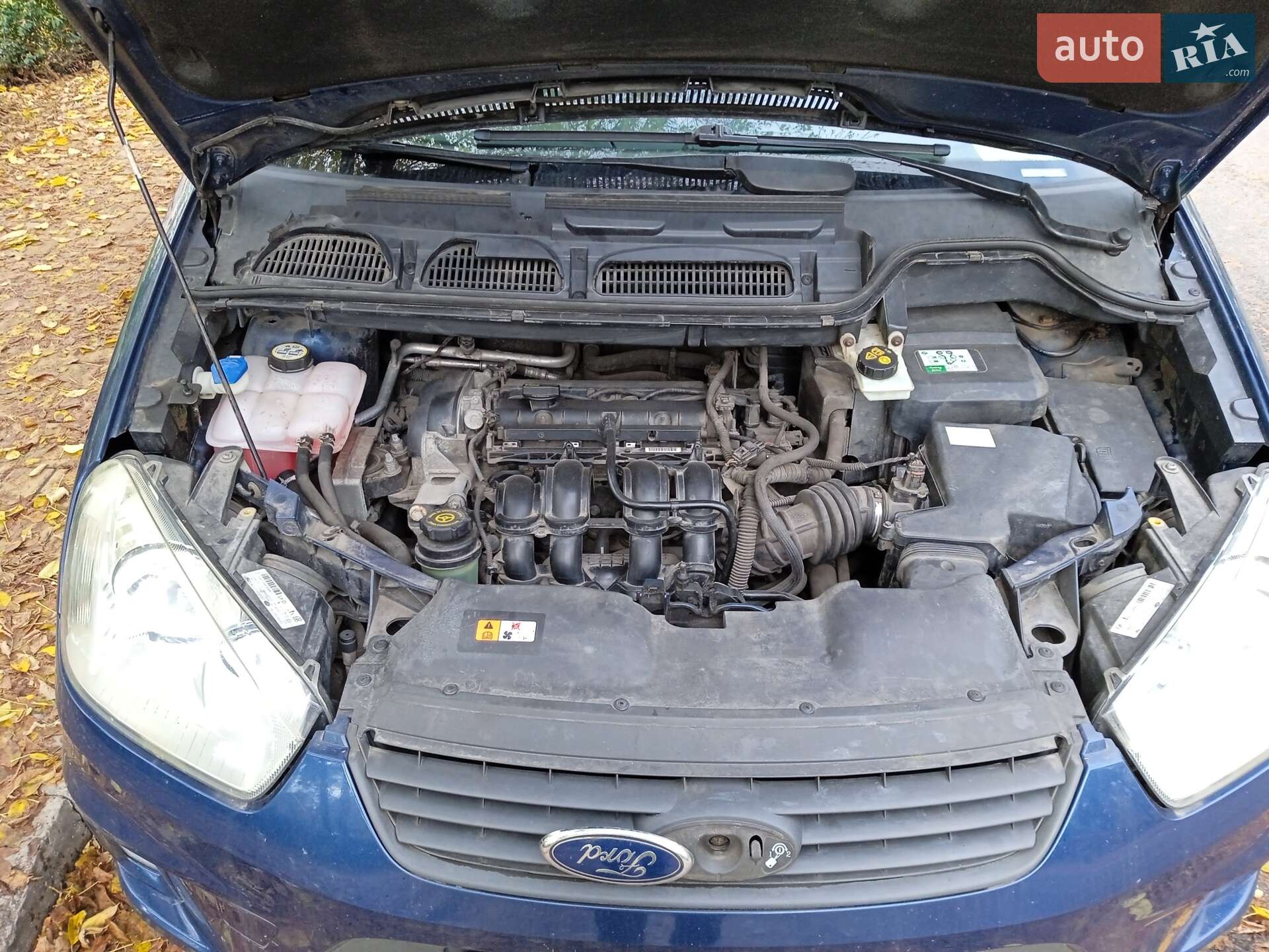 Ford C-Max 2010 VIN WF0EXXGCDEAM36831 фото оголошення 12 з 19