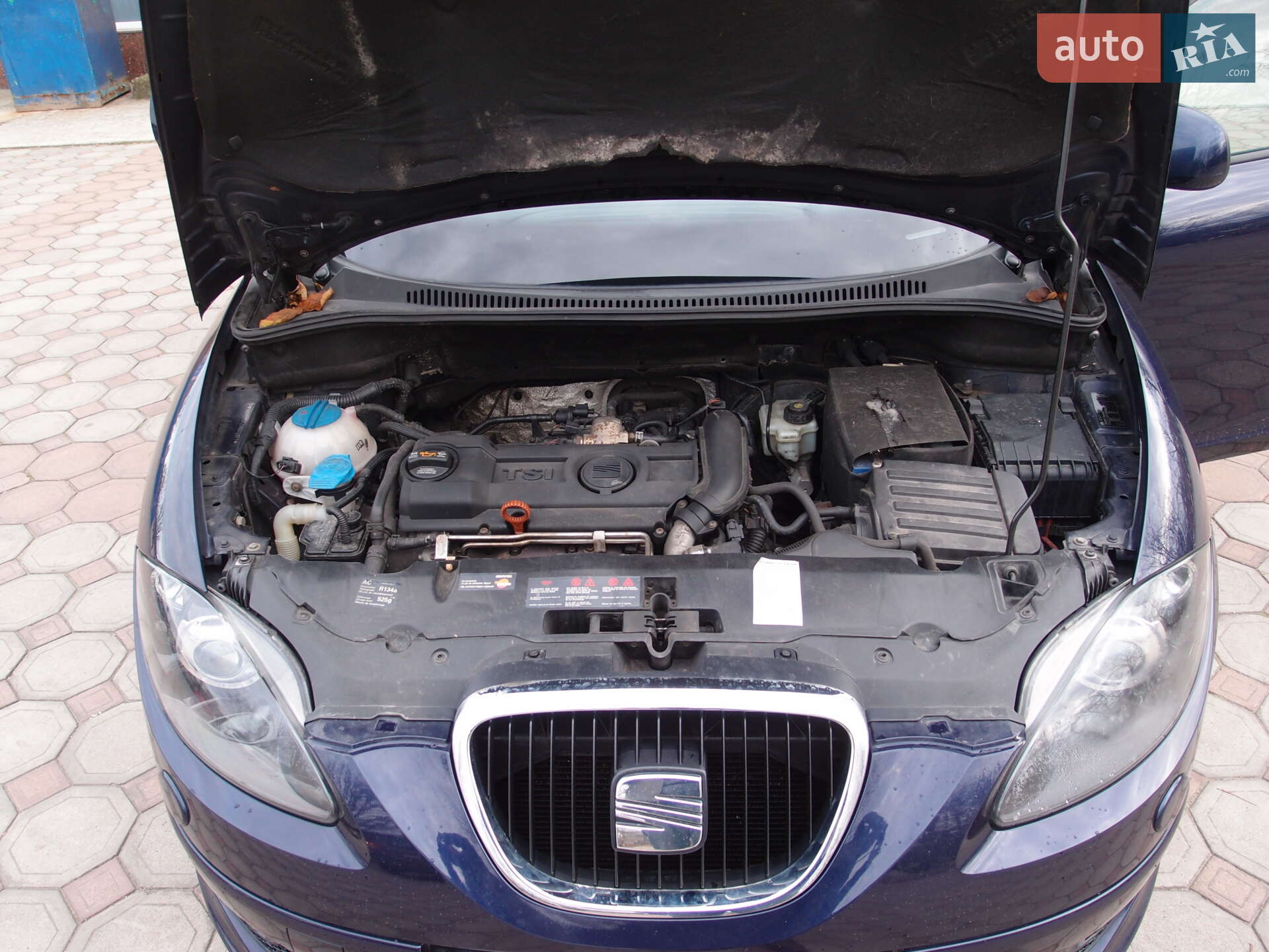 SEAT Altea XL 2008 VIN VSSZZZ5PZ9R002971 фото оголошення 30 з 36