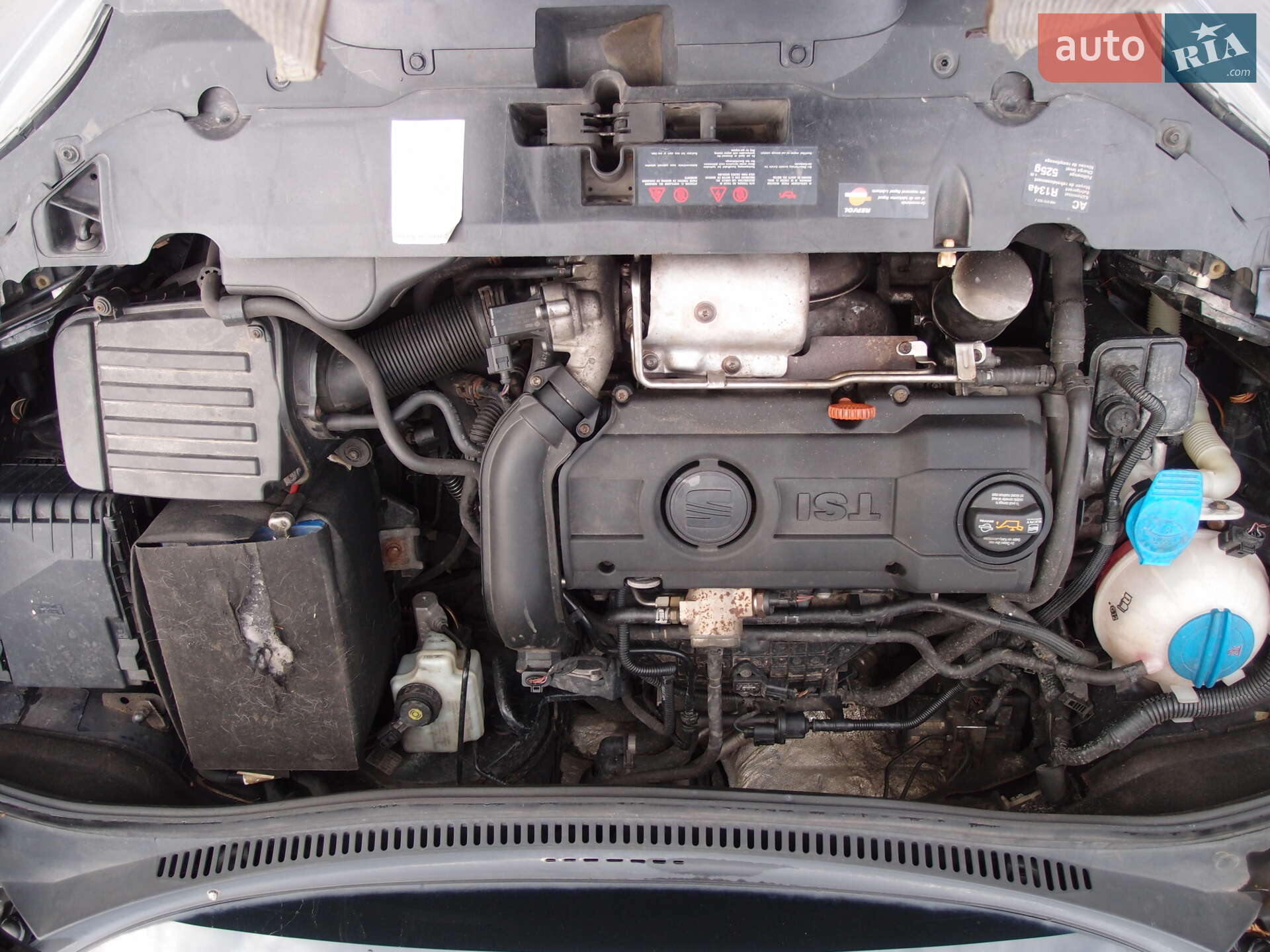 SEAT Altea XL 2008 VIN VSSZZZ5PZ9R002971 фото оголошення 31 з 36