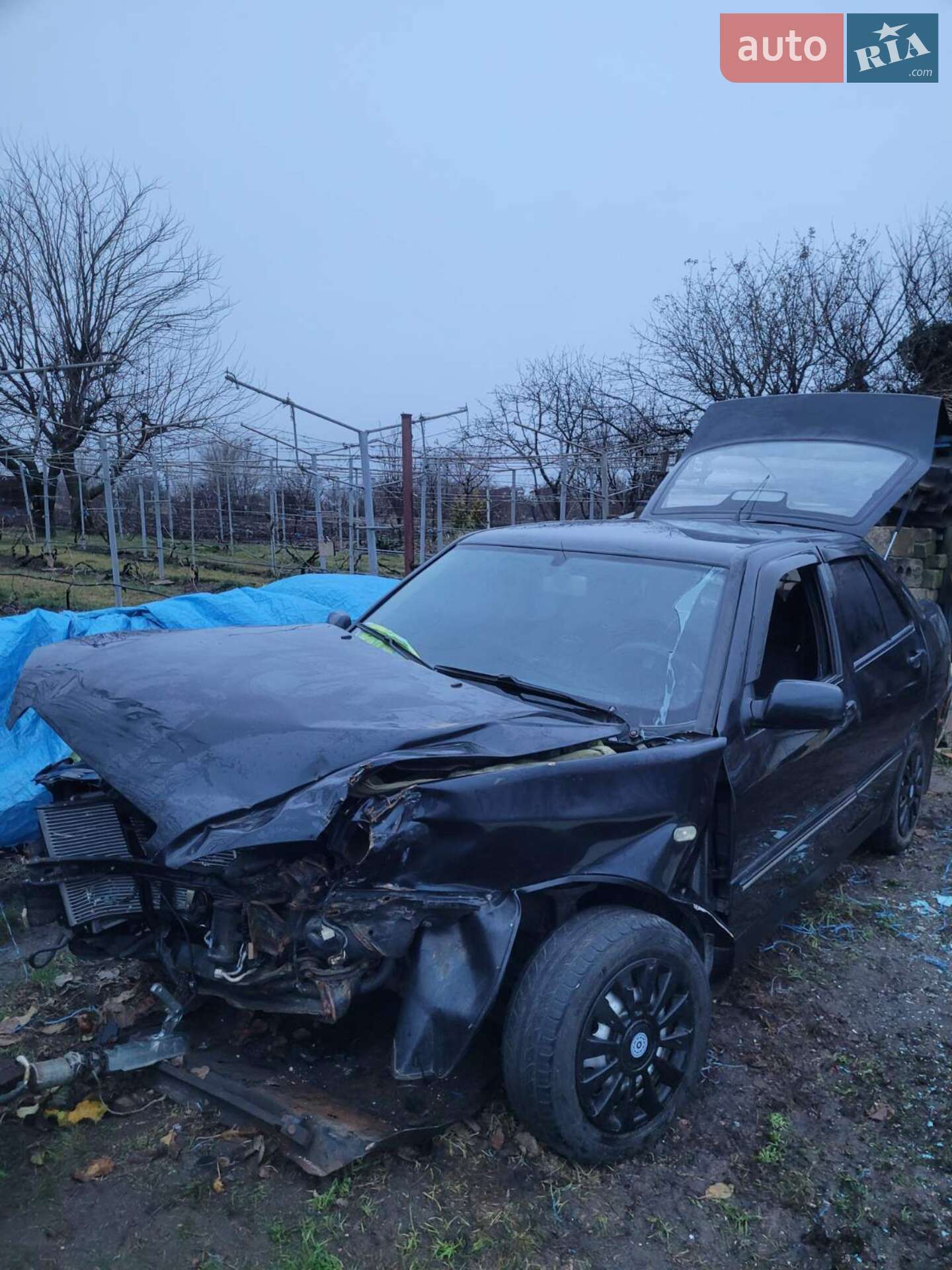 Chery Amulet 2008 VIN Y6DDA11A18D067135 фото оголошення 12 з 29
