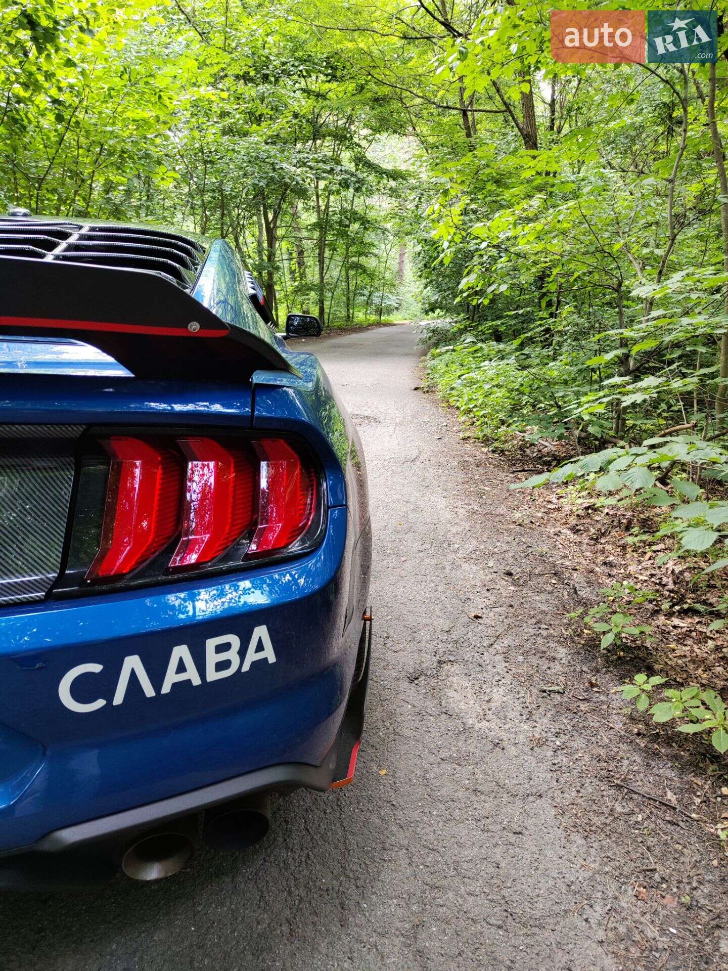 Ford Mustang 2017 VIN 1FA6P8CF6J5112722 фото оголошення 12 з 12
