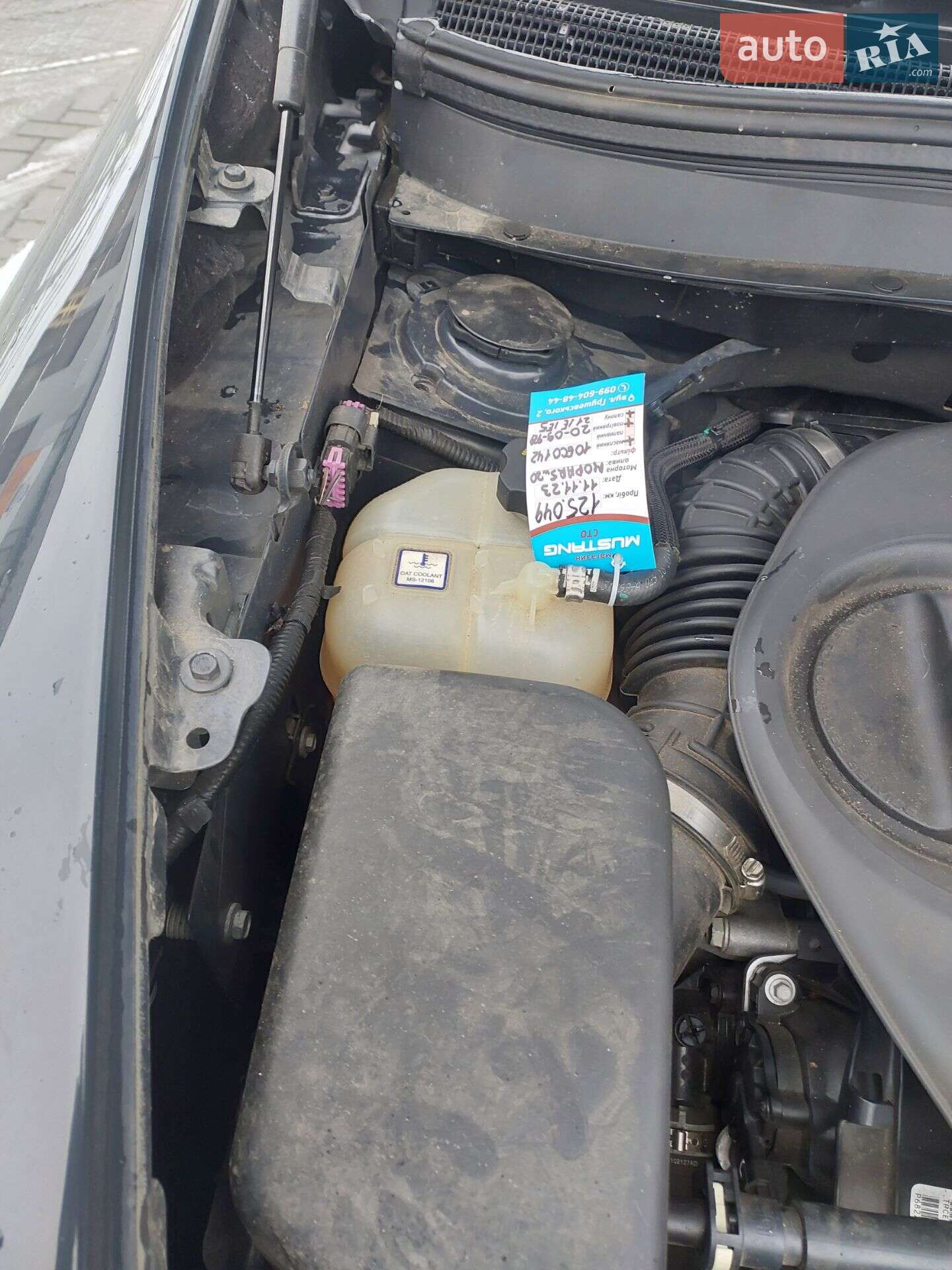 Jeep Cherokee 2016 VIN 1C4PJMBS1GW277653 фото оголошення 26 з 28