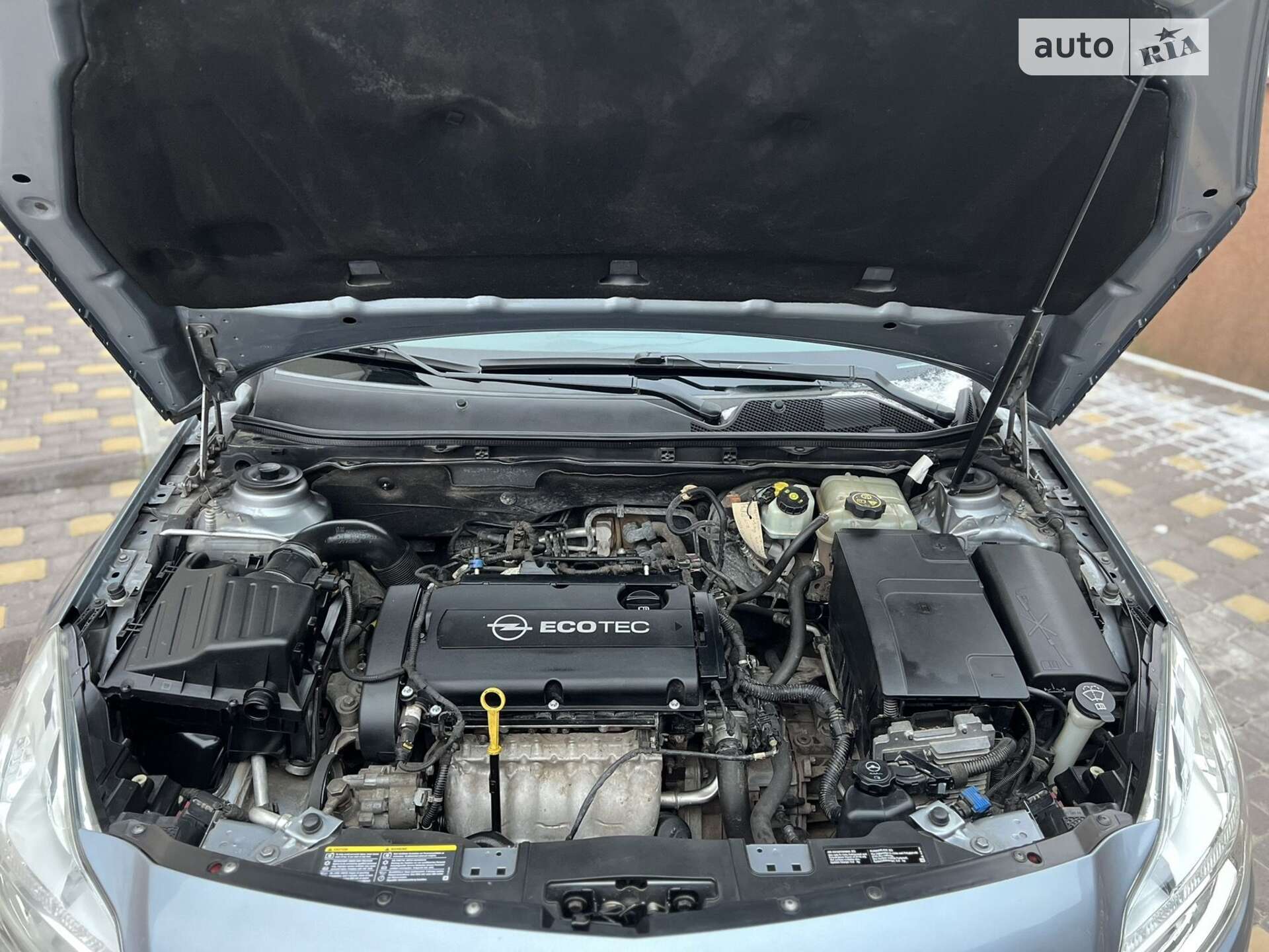 Opel Insignia 2009 VIN W0LGM57C491072535 фото оголошення 18 з 18