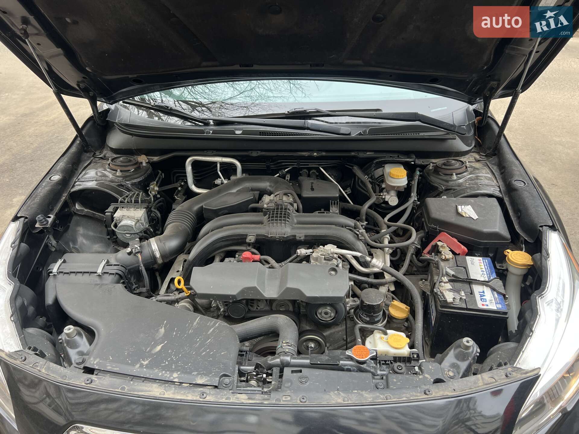 Subaru Legacy 2017 VIN 4S3BNAA61H3059023 фото оголошення 21 з 21