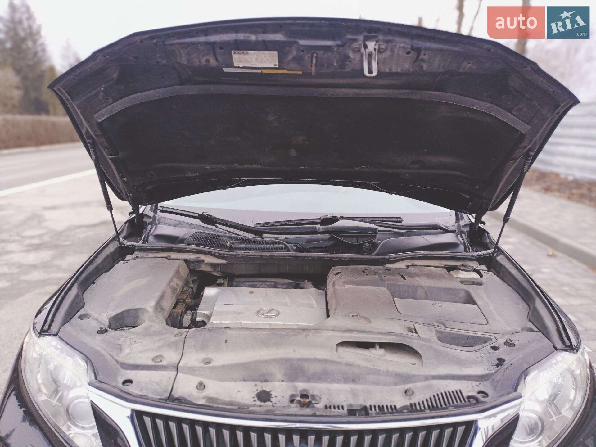 Lexus RX 2010 VIN 2T2BK1BA3AC068875 фото оголошення 20 з 72