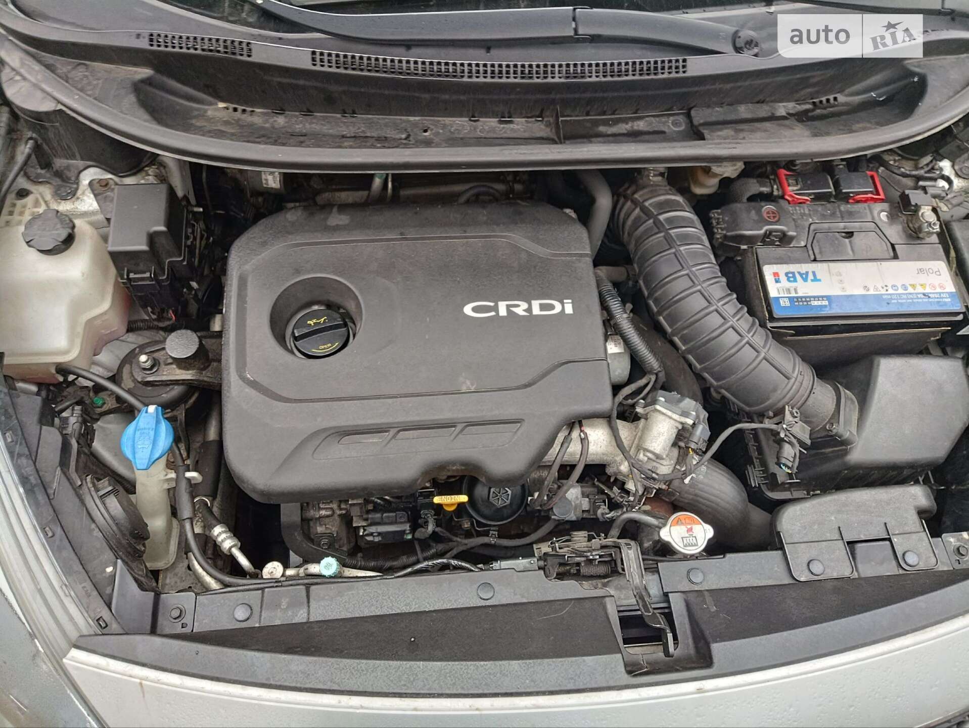 Kia Rio 2014 VIN KNADN515AE6990602 фото оголошення 14 з 24