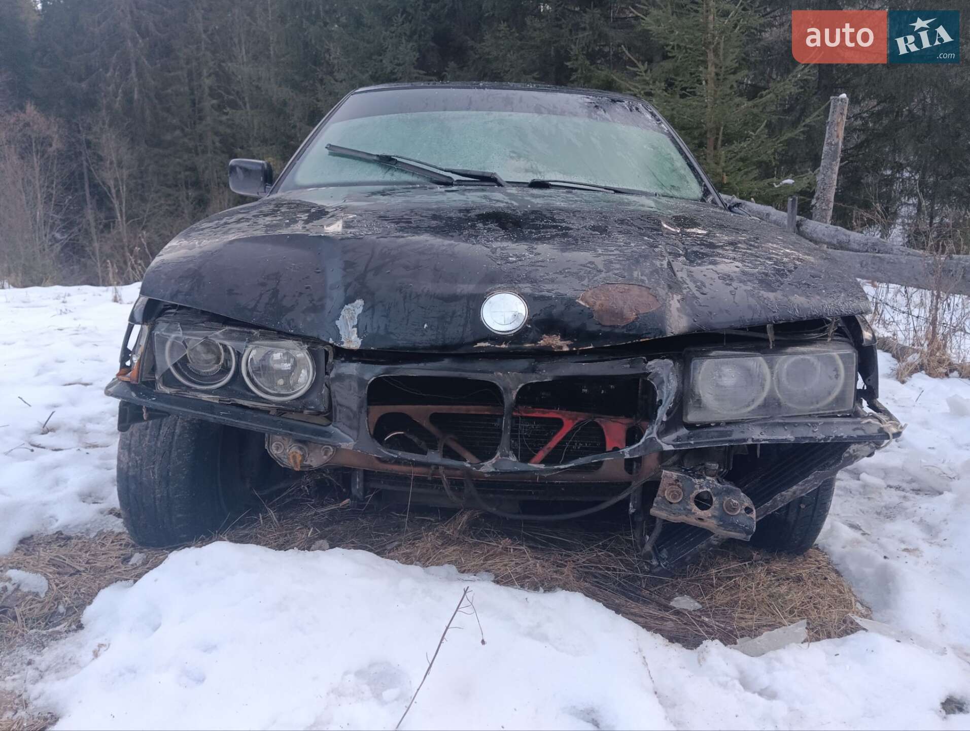 BMW 3 Series 1993 VIN WBACC11030FF49844 фото оголошення 17 з 21