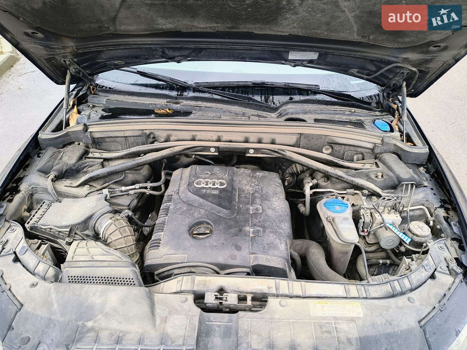 Audi Q5 2011 VIN WA1LFAFP1CA016481 фото оголошення 13 з 21