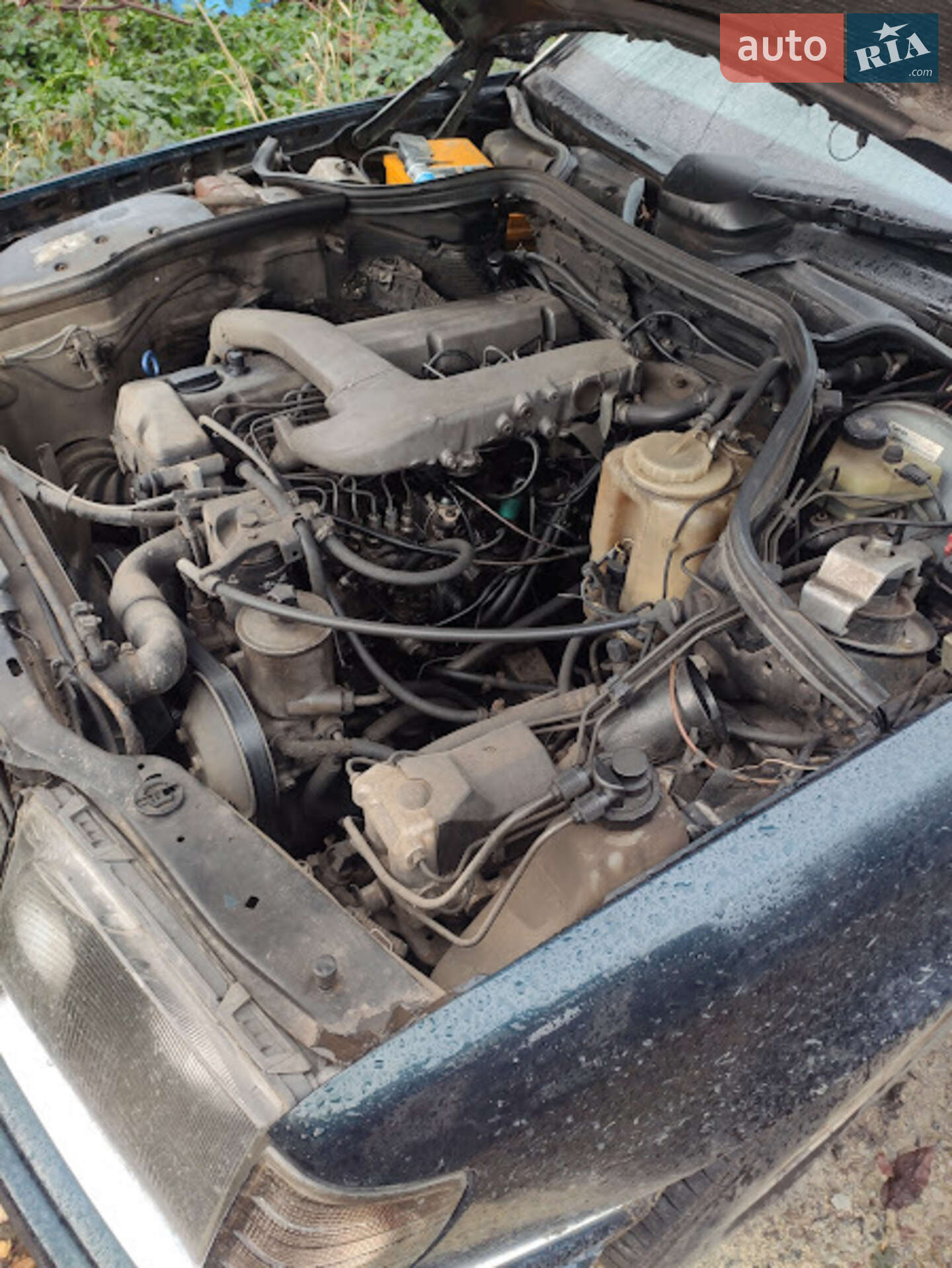 Mercedes-Benz E-Class 1995 VIN WDB1243331C162594 фото оголошення 5 з 7