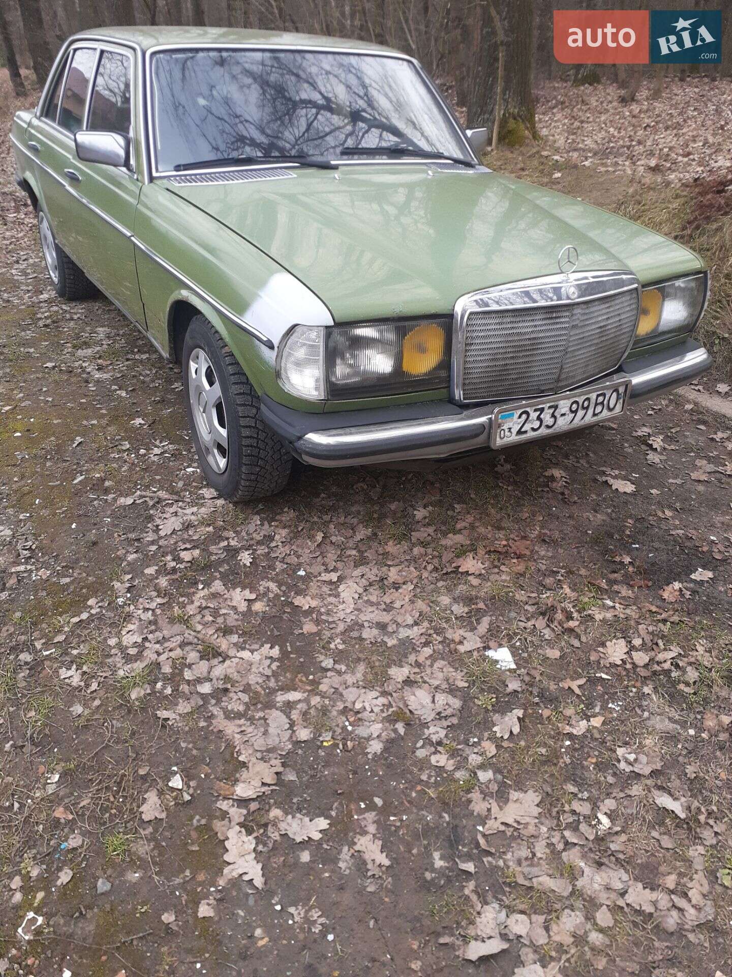 Mercedes-Benz E-Class 1982 VIN WDB12312310319432 фото оголошення 15 з 15