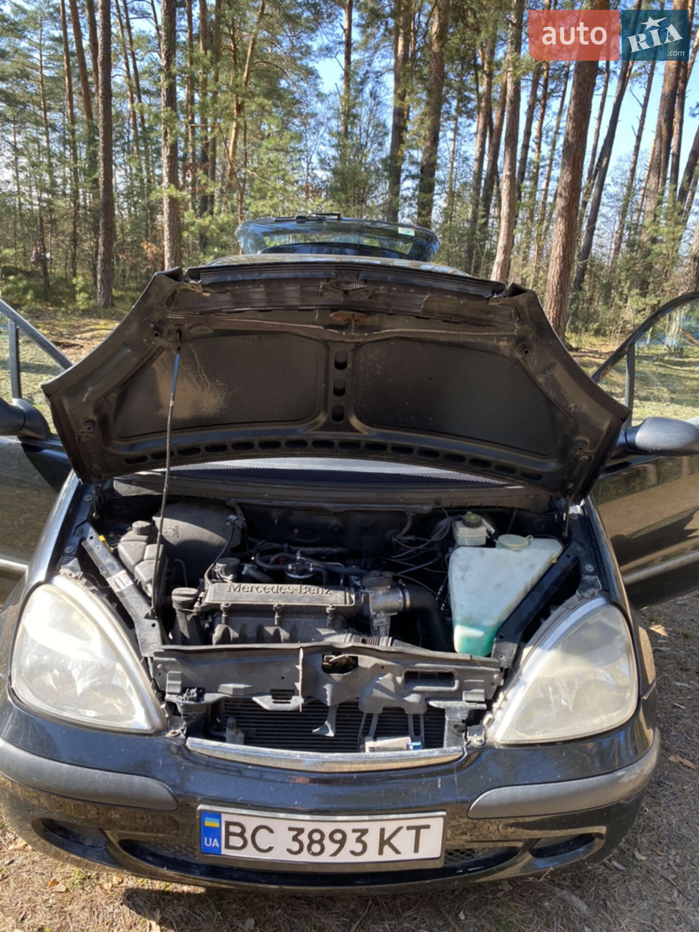 Mercedes-Benz A-Class 2002 VIN WDB1681091J858414 фото оголошення 21 з 25