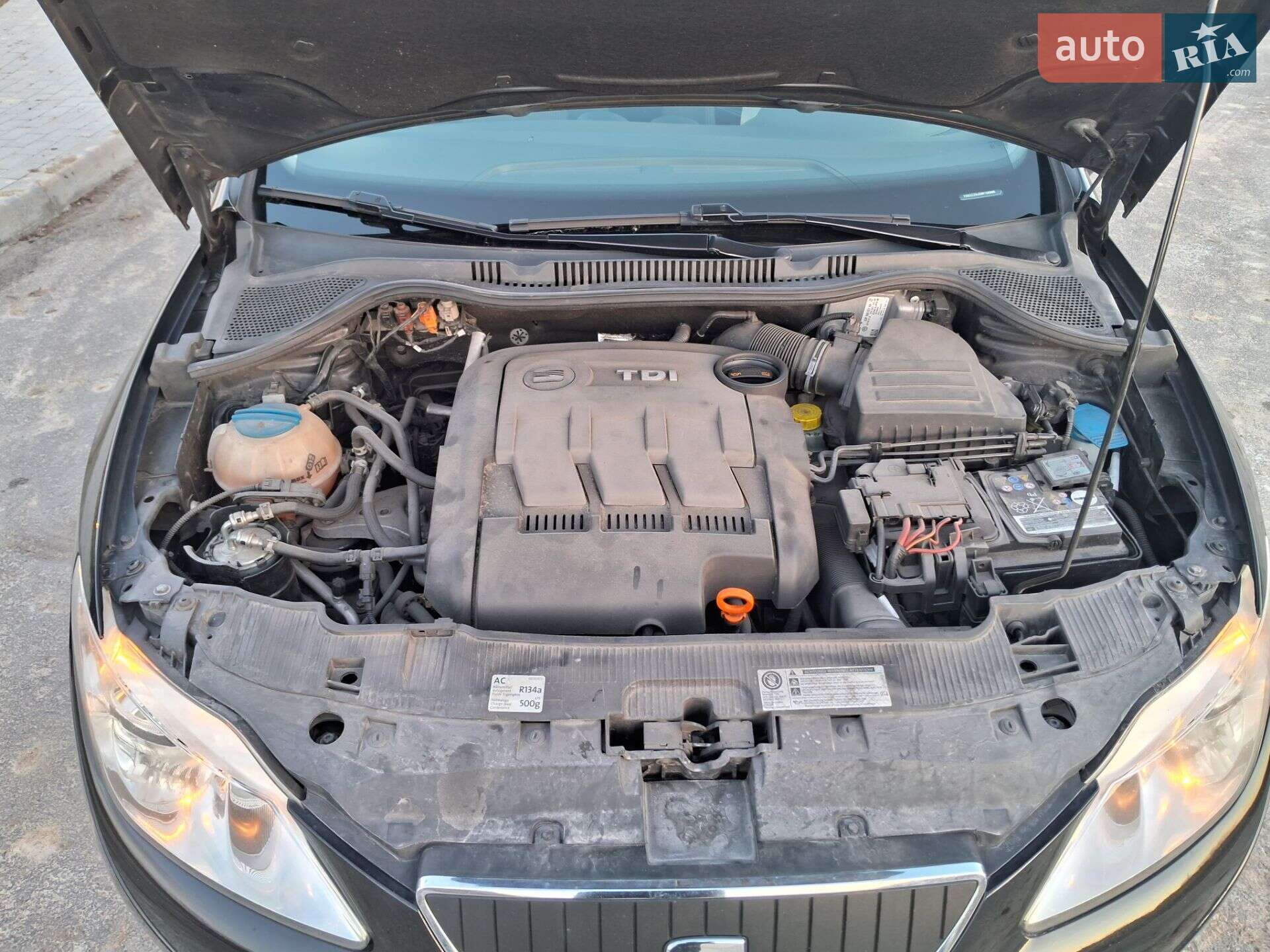 SEAT Ibiza 2010 VIN VSSZZZ6JZBR106985 фото оголошення 10 з 11