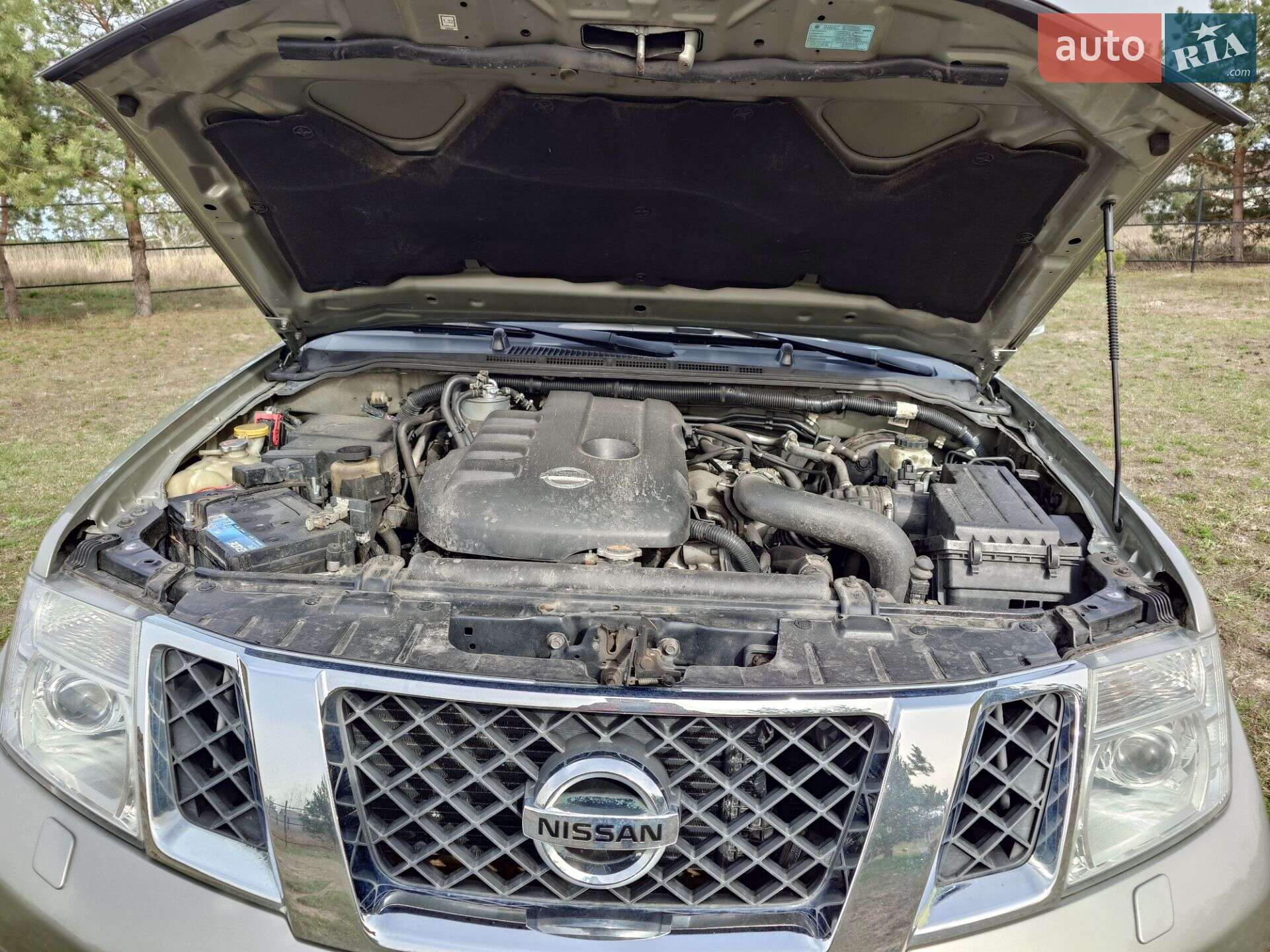 Nissan Pathfinder 2010 VIN VSKJVWR51U0387751 фото оголошення 31 з 42