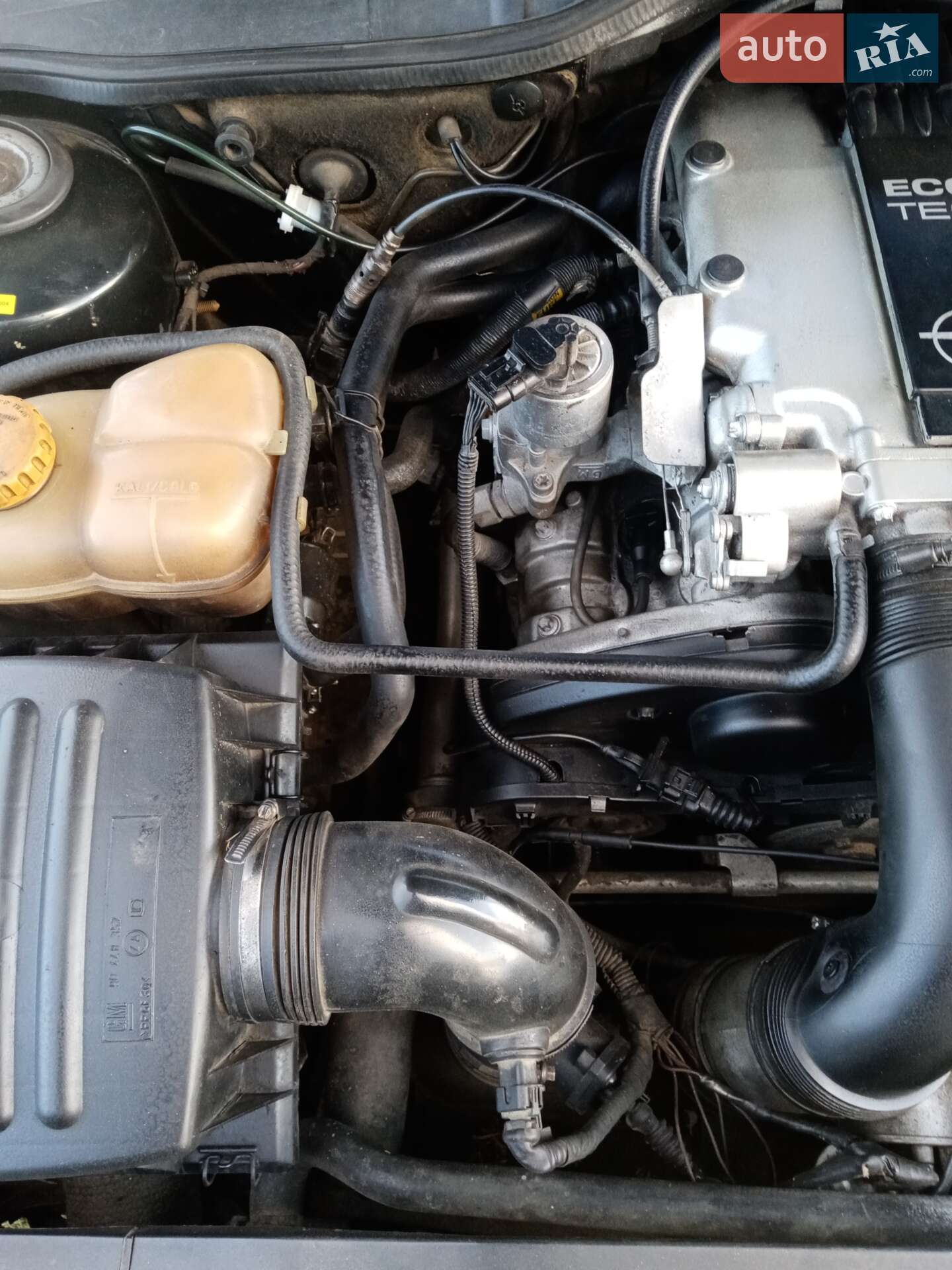 Opel Omega 1999 VIN W0L0VBM69X1029254 фото оголошення 3 з 6