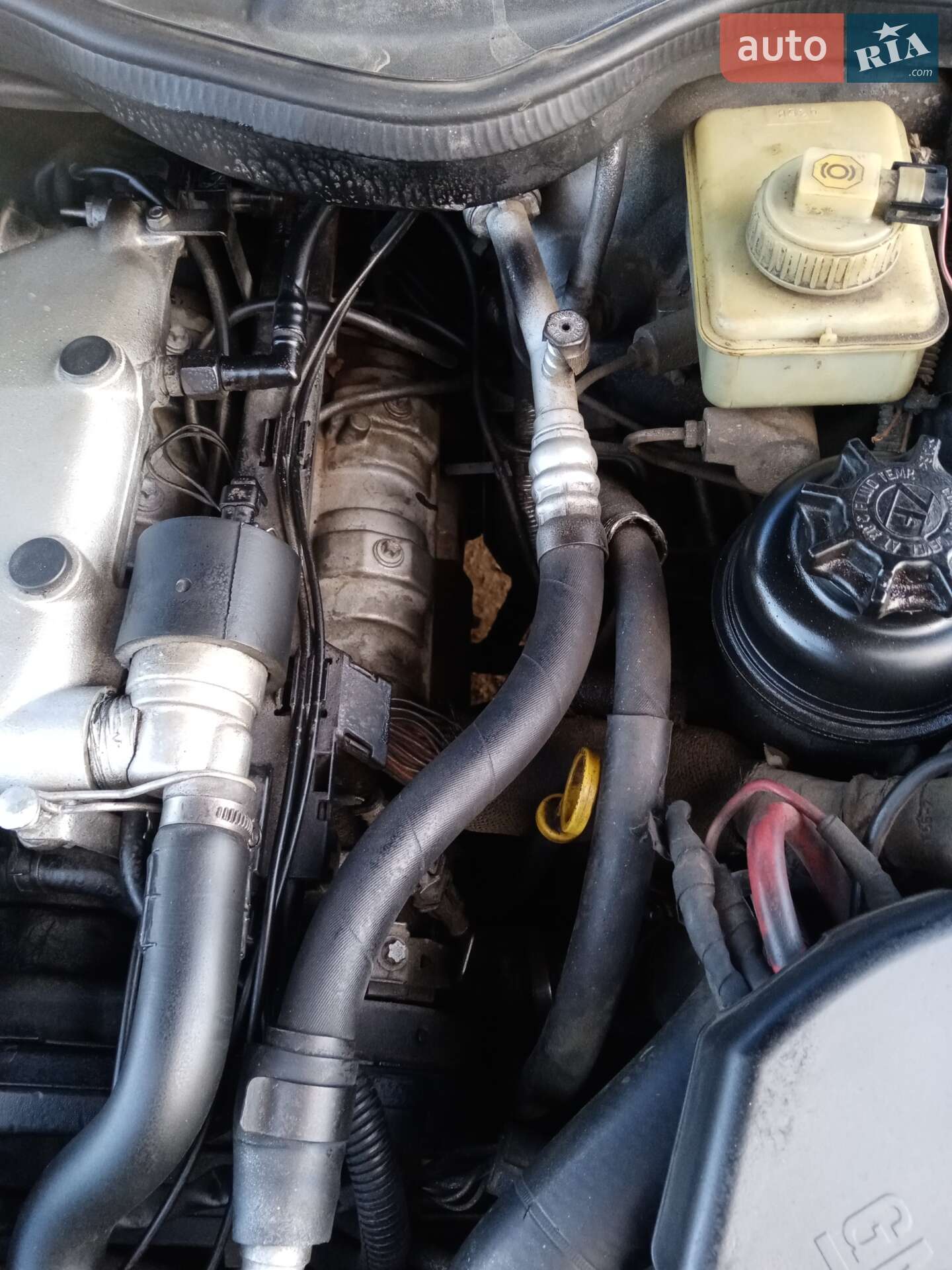 Opel Omega 1999 VIN W0L0VBM69X1029254 фото оголошення 6 з 6