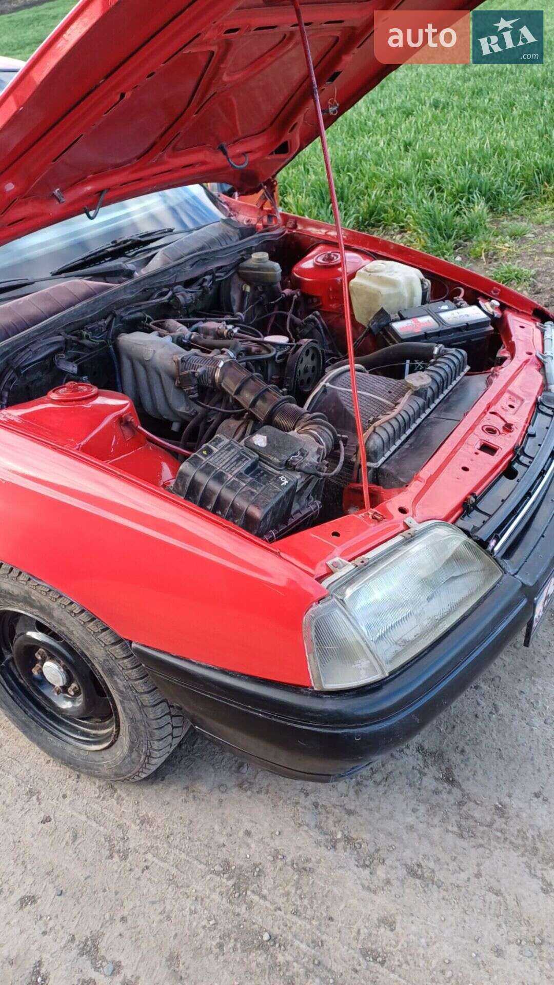 Opel Omega 1989 VIN W0L000016K1209289 фото оголошення 7 з 8