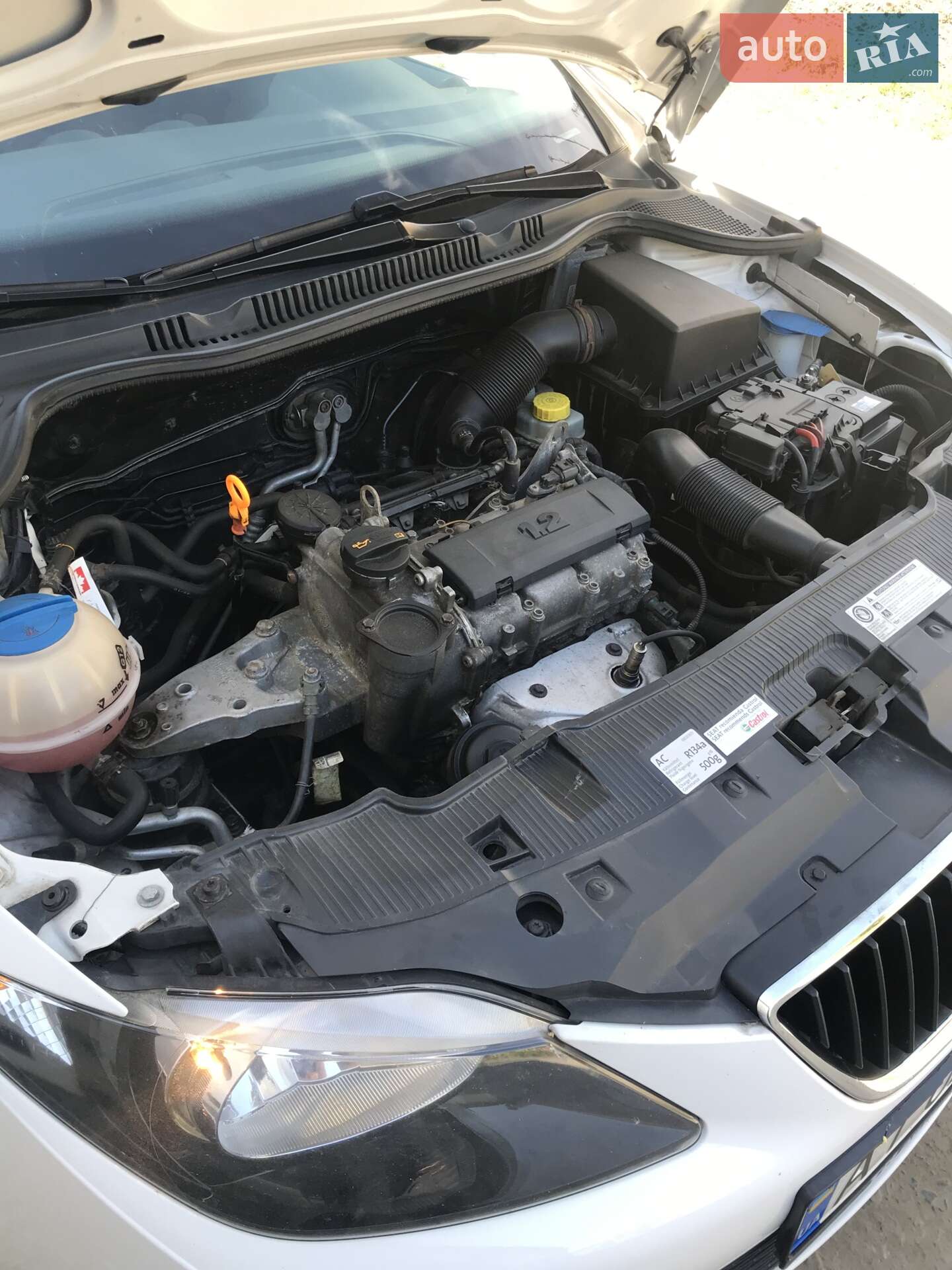 SEAT Ibiza 2011 VIN VSSZZZ6JZBR170290 фото оголошення 2 з 4