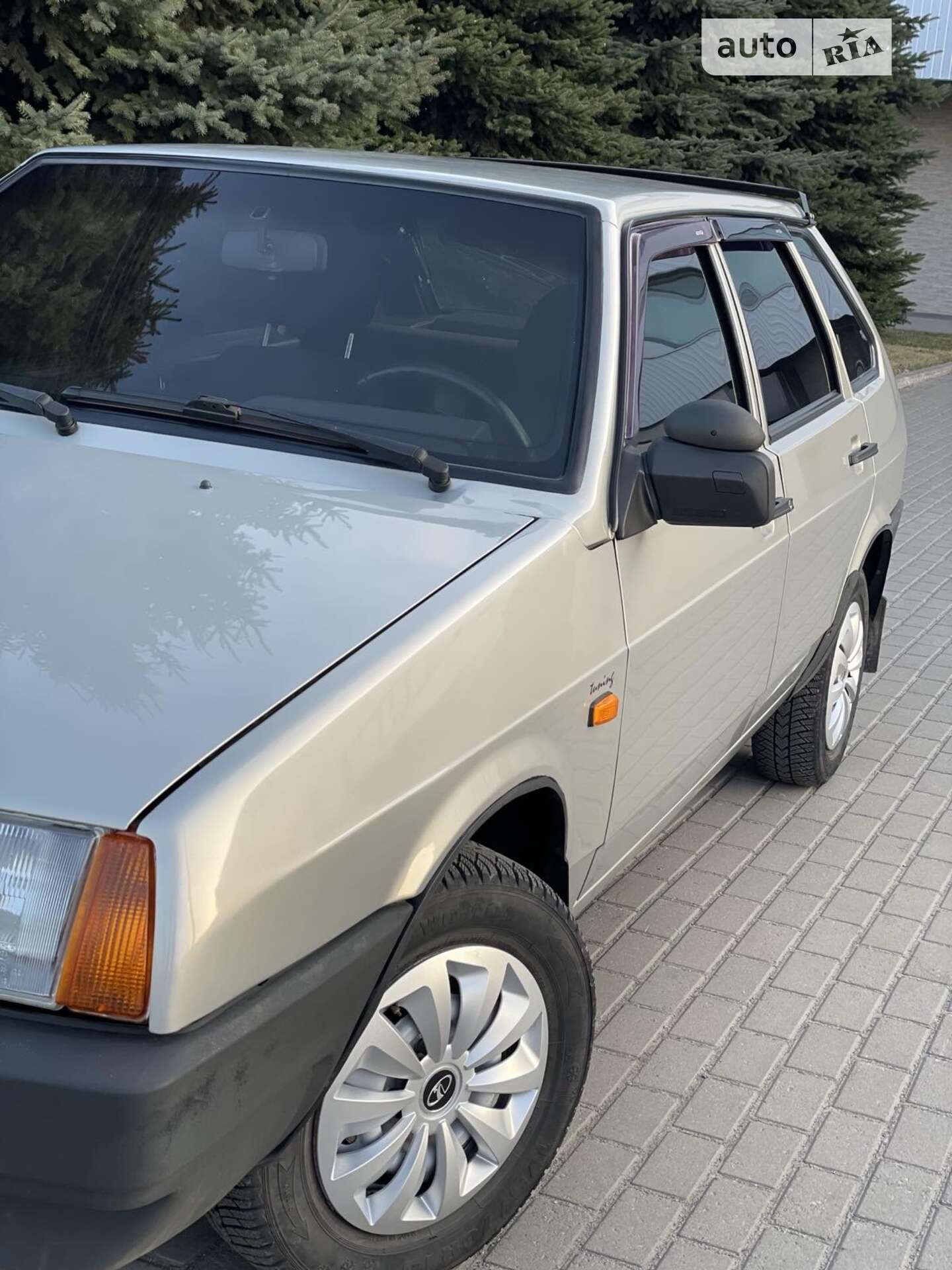 ВАЗ / Lada 2109 2006 VIN Y6D21093070021046 фото оголошення 10 з 33