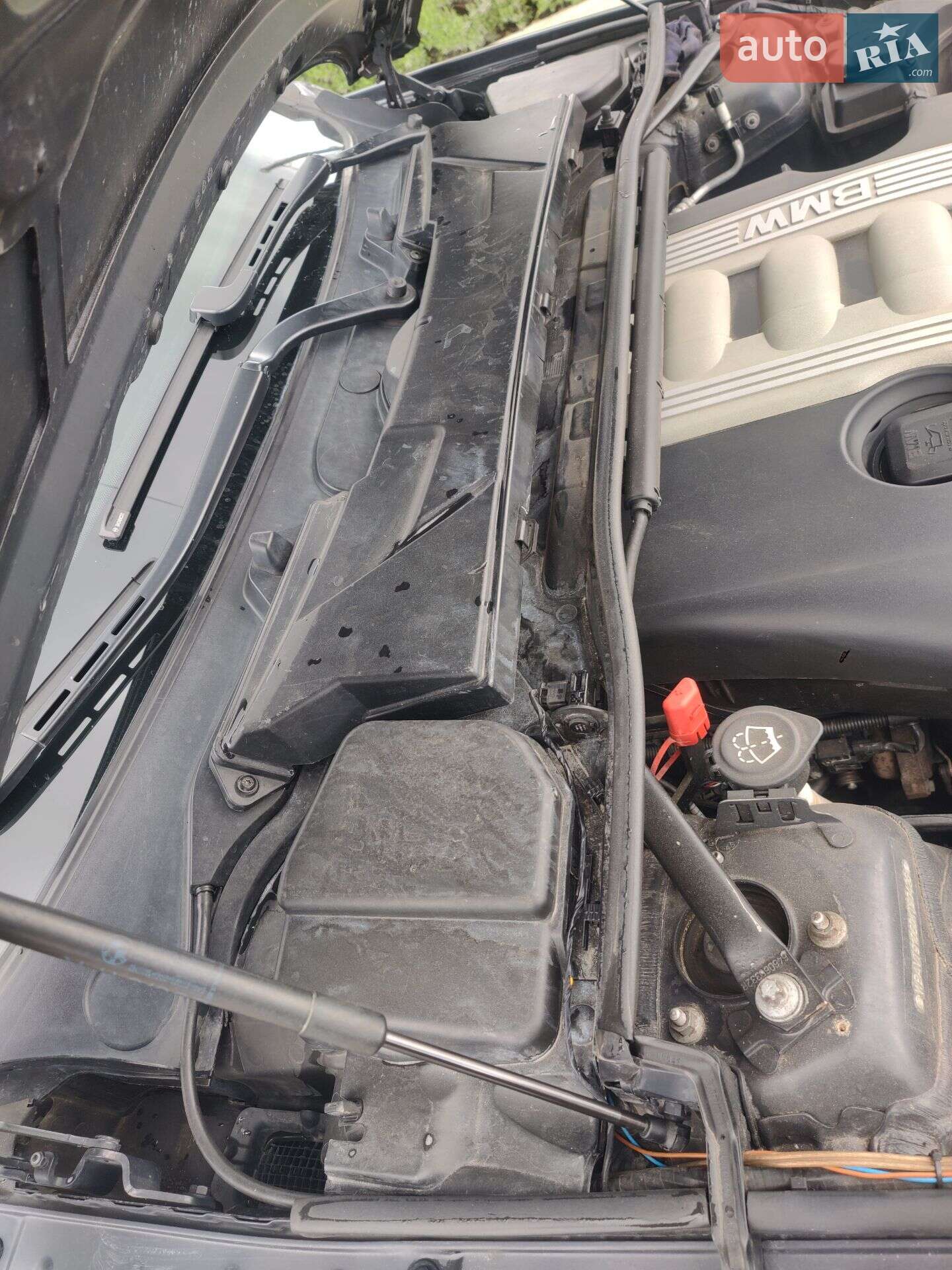 BMW 3 Series 2005 VIN WBAVT91060KT90426 фото оголошення 31 з 31