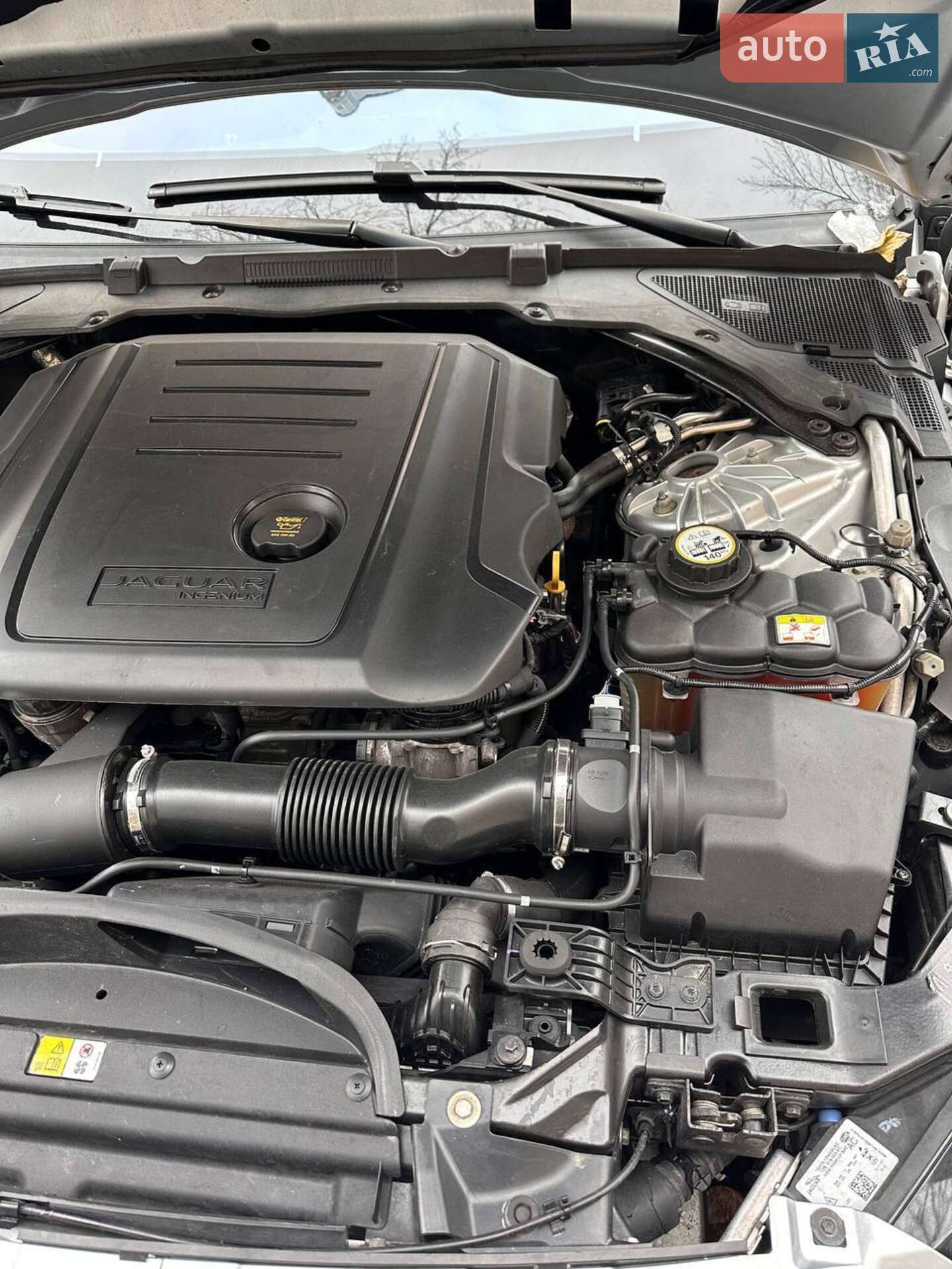 Jaguar XE 2016 VIN SAJAJ4BN4HA944389 фото оголошення 5 з 21