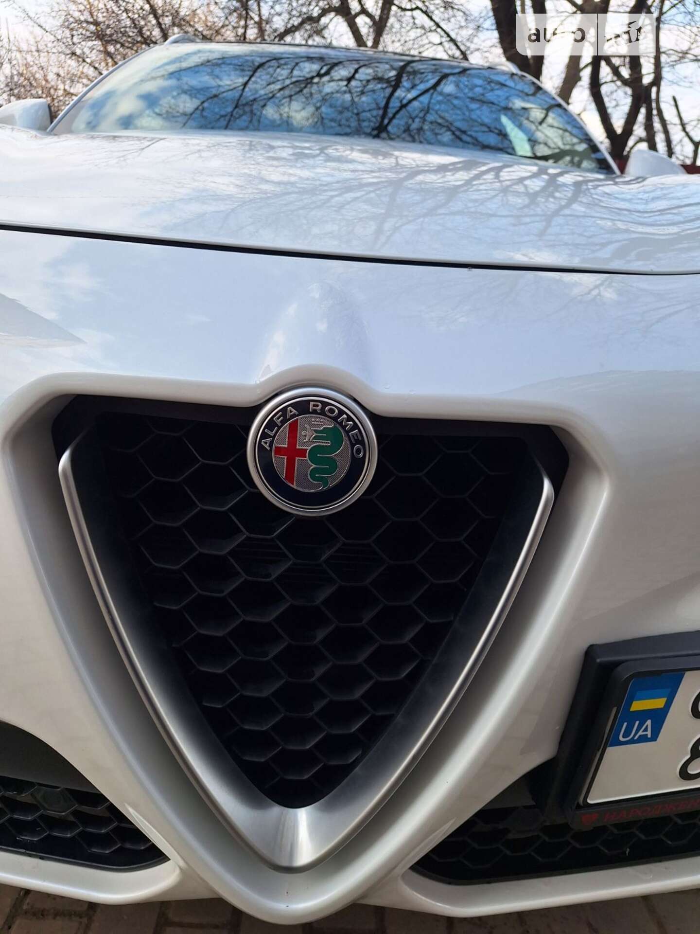 Alfa Romeo Stelvio 2018 VIN ZASPAKBN4K7C38841 фото оголошення 33 з 39