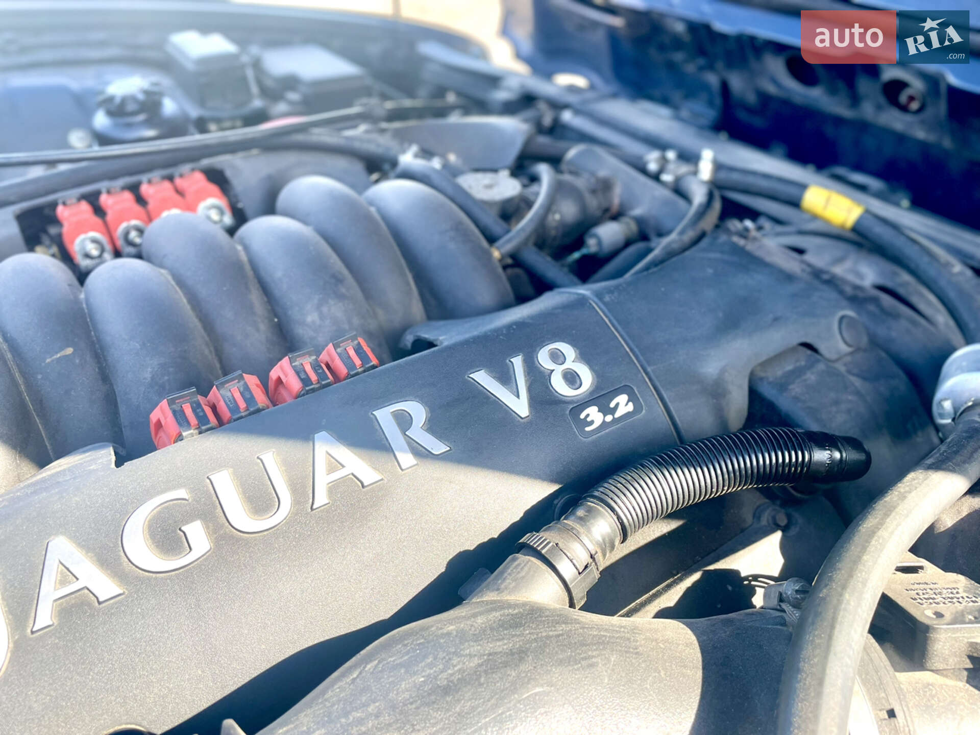 Jaguar XJ 1999 VIN SAJJJALG4CH878153 фото оголошення 14 з 31