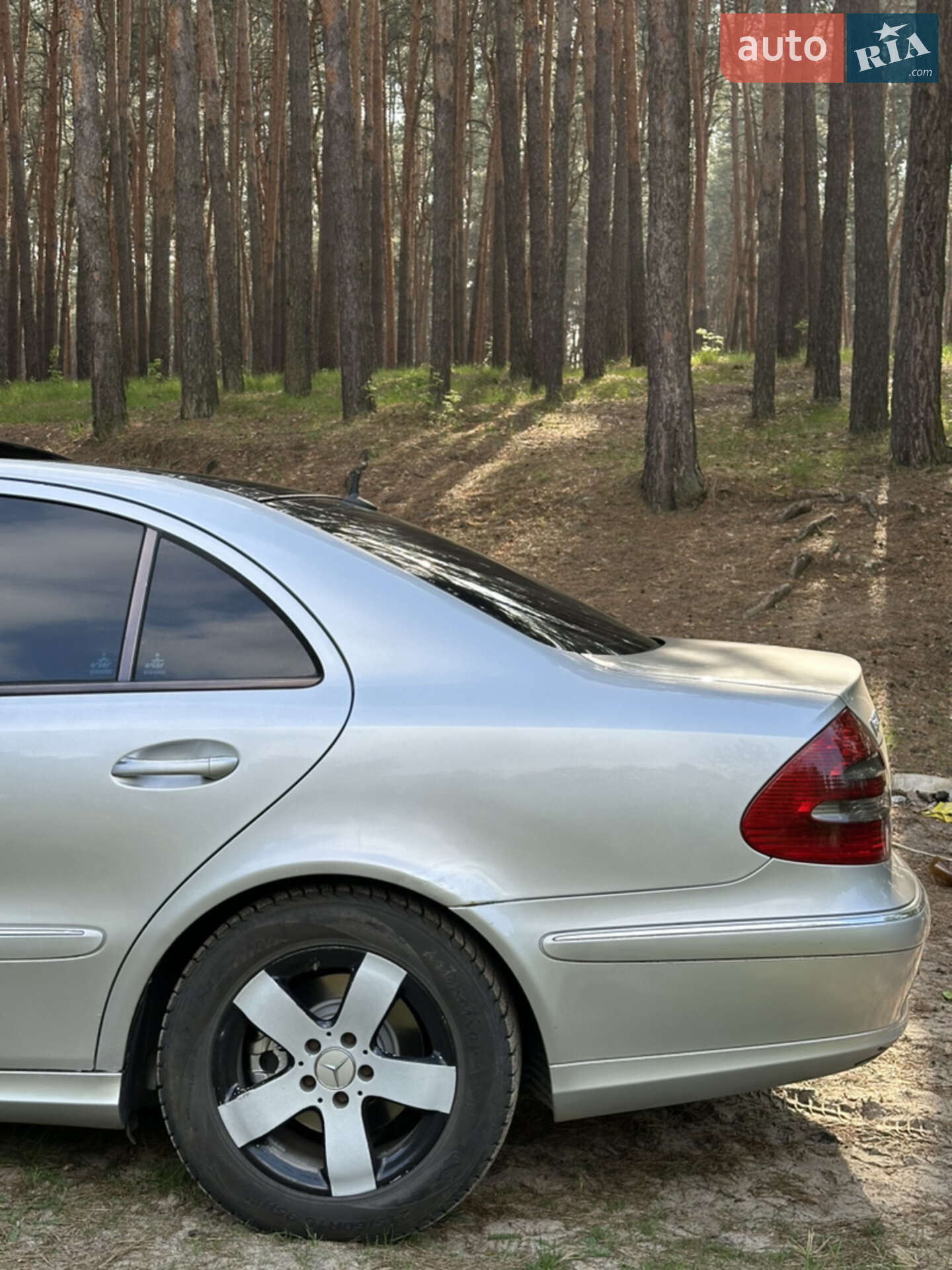 Mercedes-Benz E-Class 2002 VIN WDB2110161A062568 фото оголошення 6 з 7